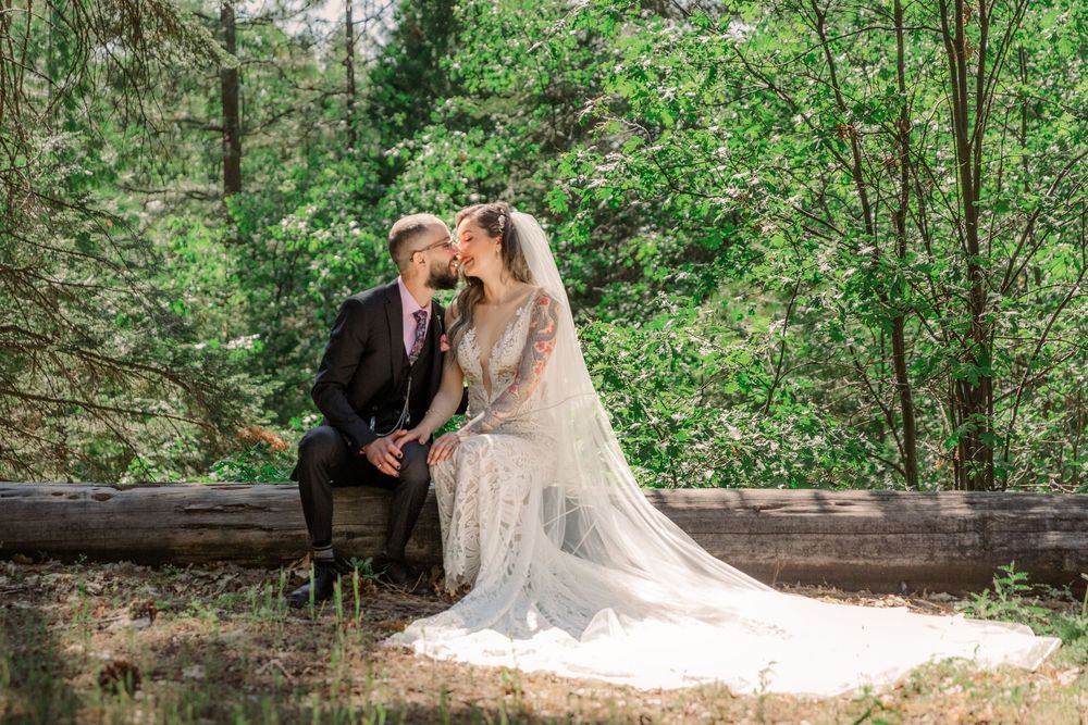 A wedding couple sits on a rustic wooden bench surrounded by lush green forest.