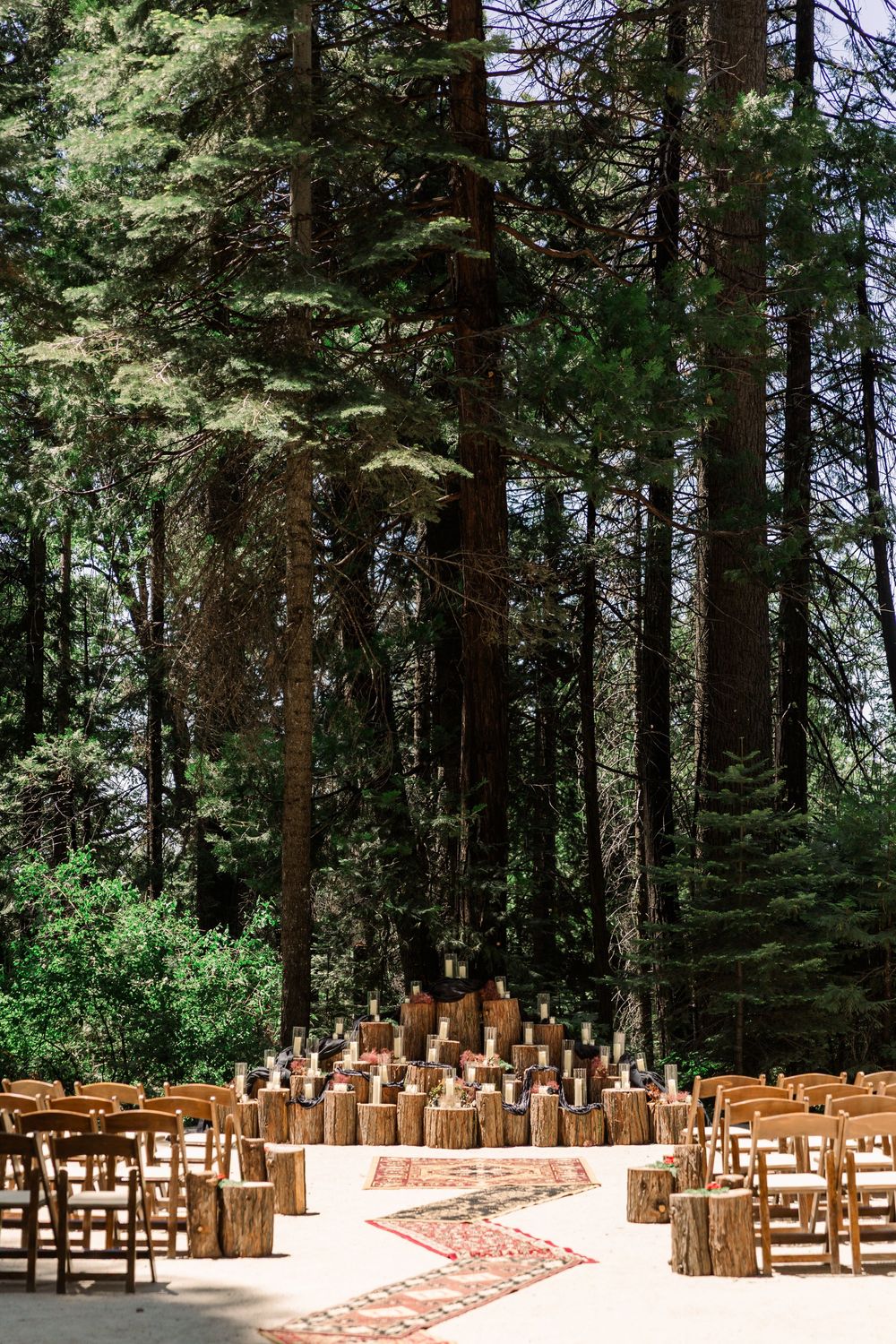 Wooden chairs arranged in rows for an outdoor forest wedding ceremony surrounded by tall pine trees.