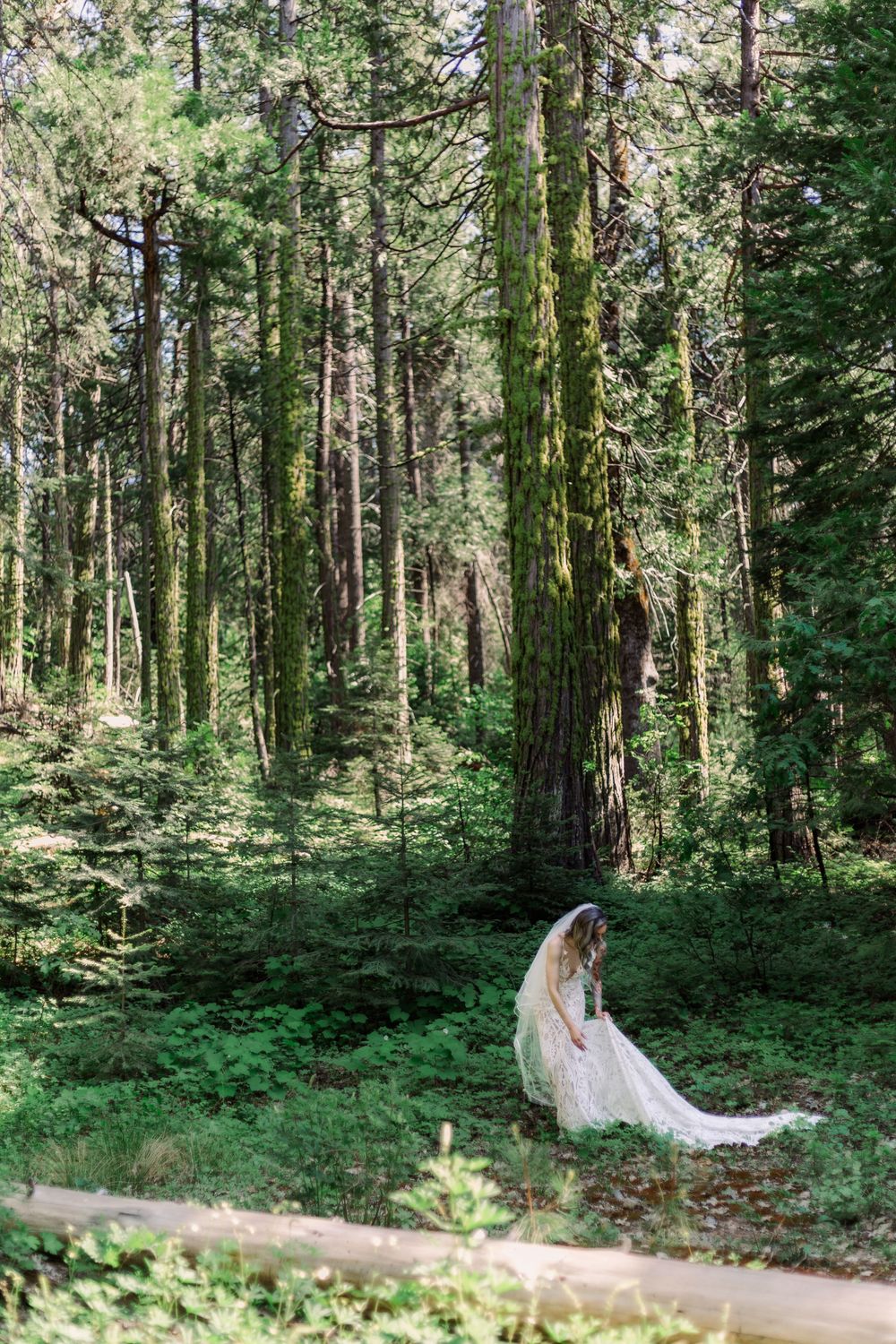 Ethereal forest wedding photography with flowing white dress against green woodland backdrop.