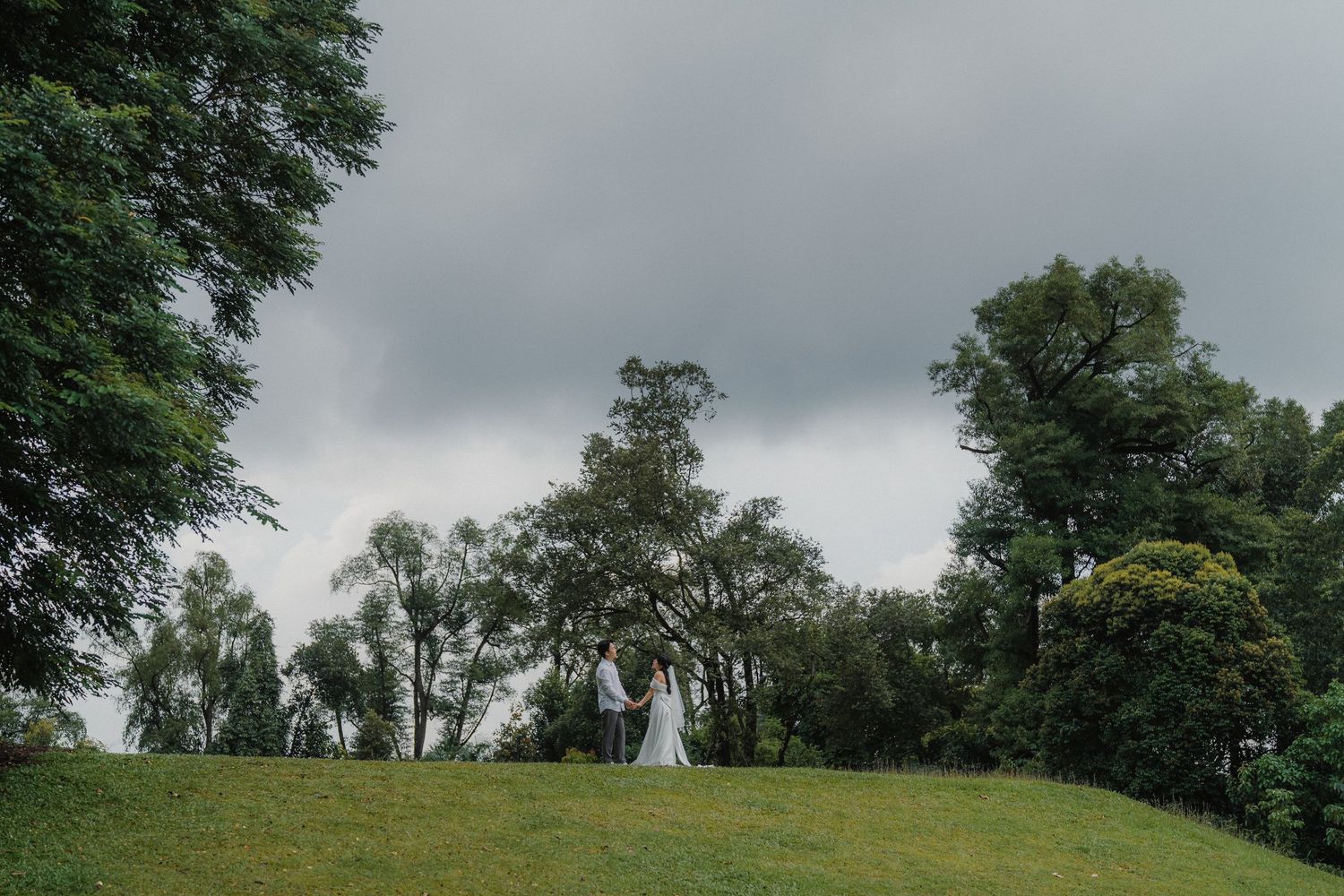 Cloudy skies loom over a green hillside with tall trees in the background.