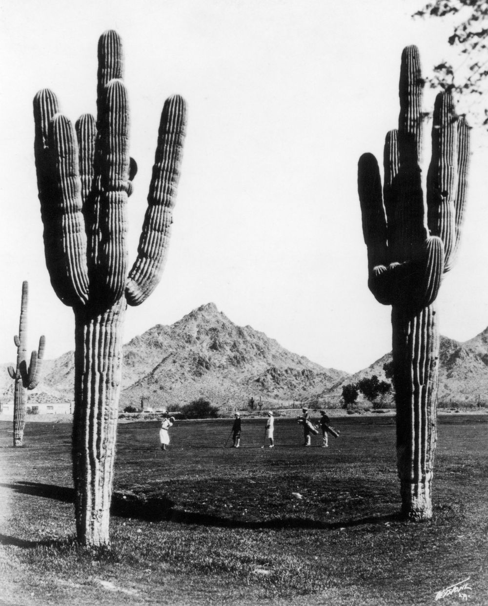 Golfers in Arizona - Camelback Mountain is seen in the background.