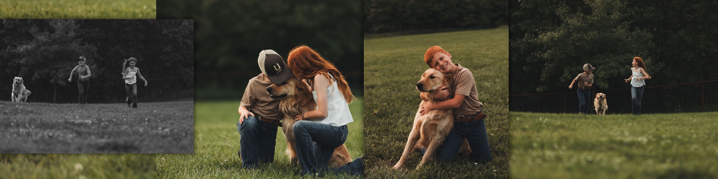 A person and dog interact lovingly on sunny grass with black and white photos in background showing same scene.