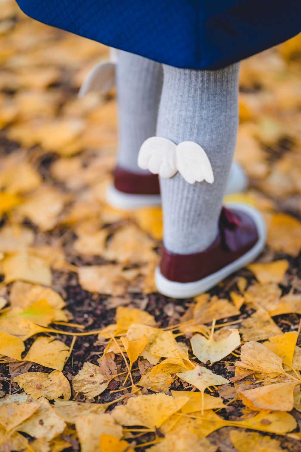 Natural kids and family lifestyle photography at One Tree Hill, captured by an Auckland family photographer.