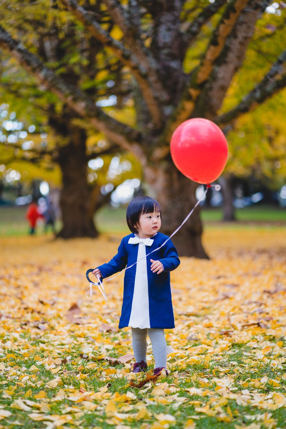 Natural kids and family lifestyle photography at One Tree Hill, captured by an Auckland family photographer.