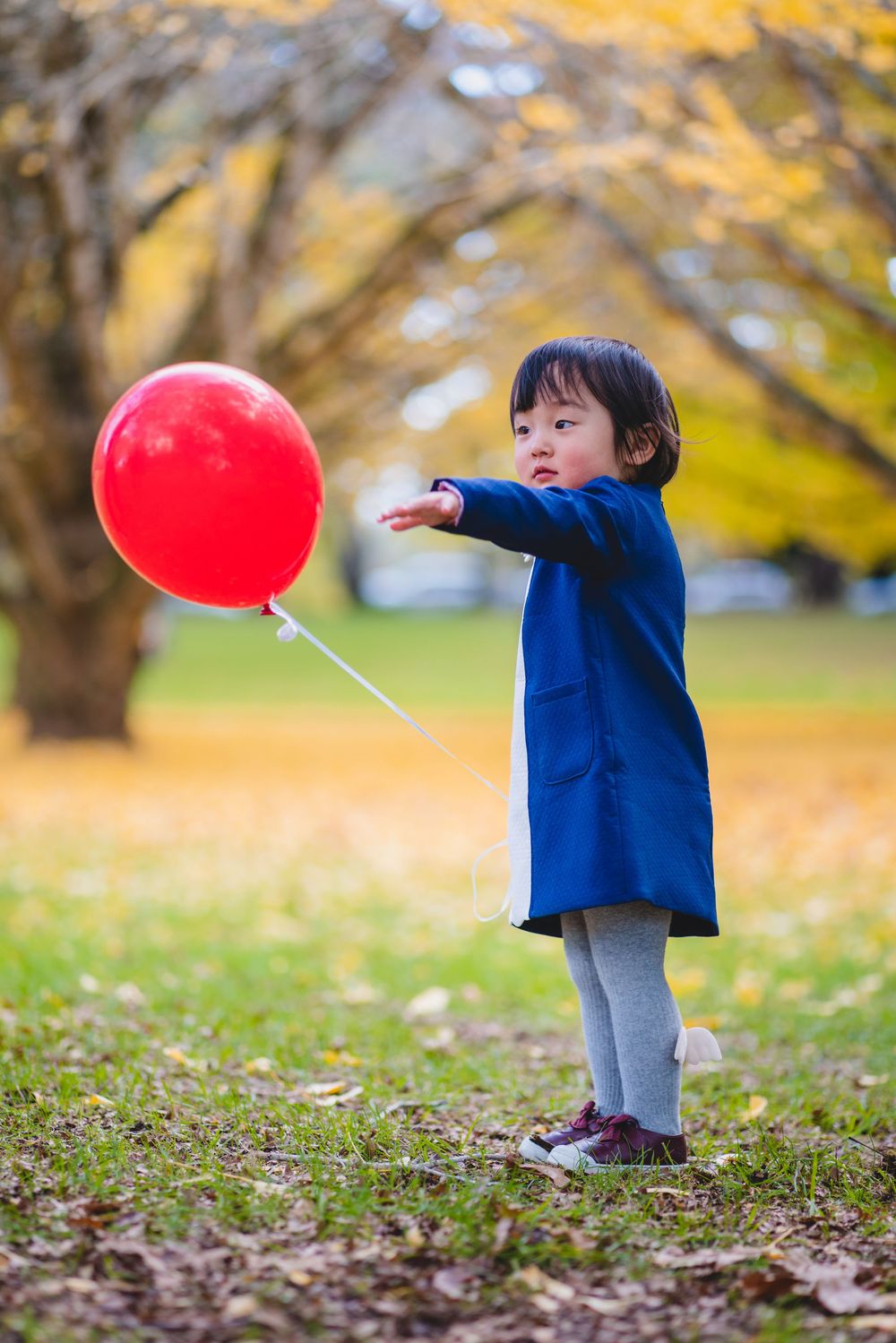 Natural kids and family lifestyle photography at One Tree Hill, captured by an Auckland family photographer.