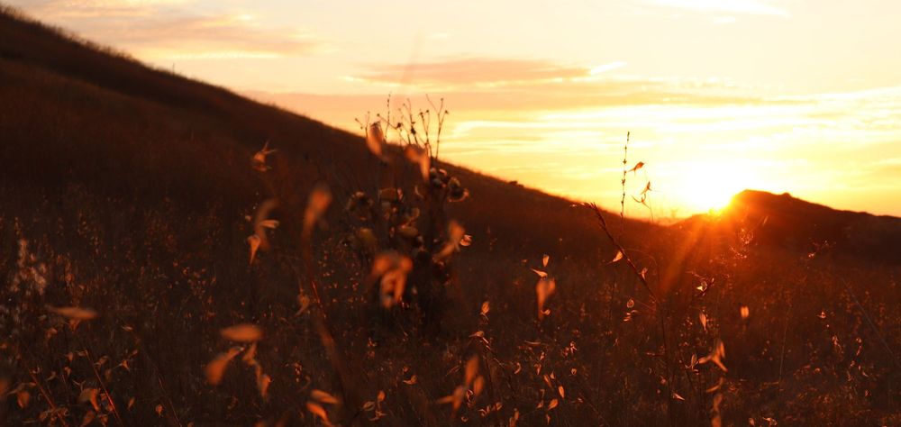sunset glow over dry brush Irvine, CA