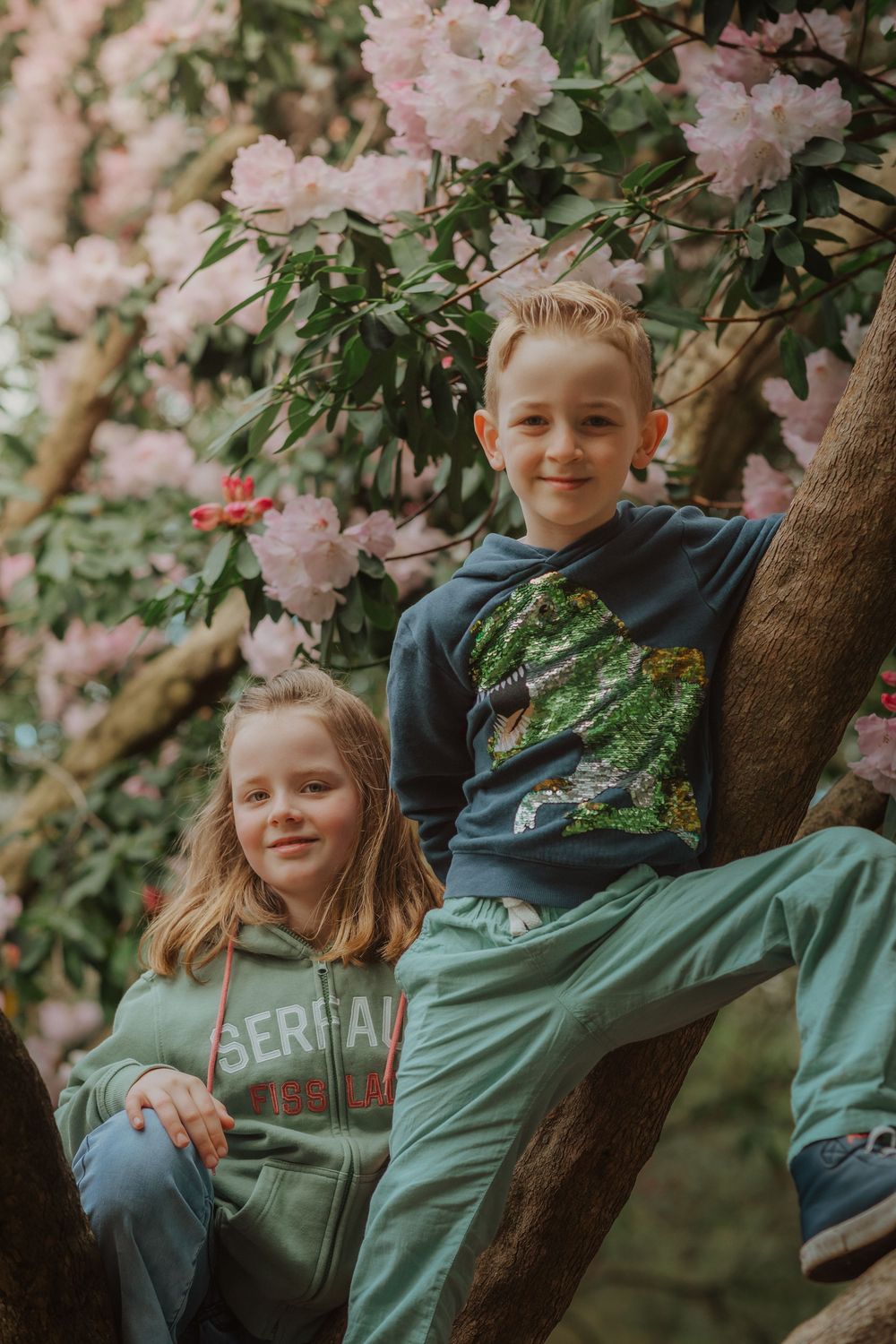 Two children sitting in a blooming cherry tree wearing casual clothing during springtime.