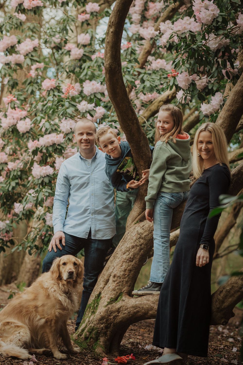 A family poses together under blooming pink cherry blossoms with their golden retriever resting at their feet.