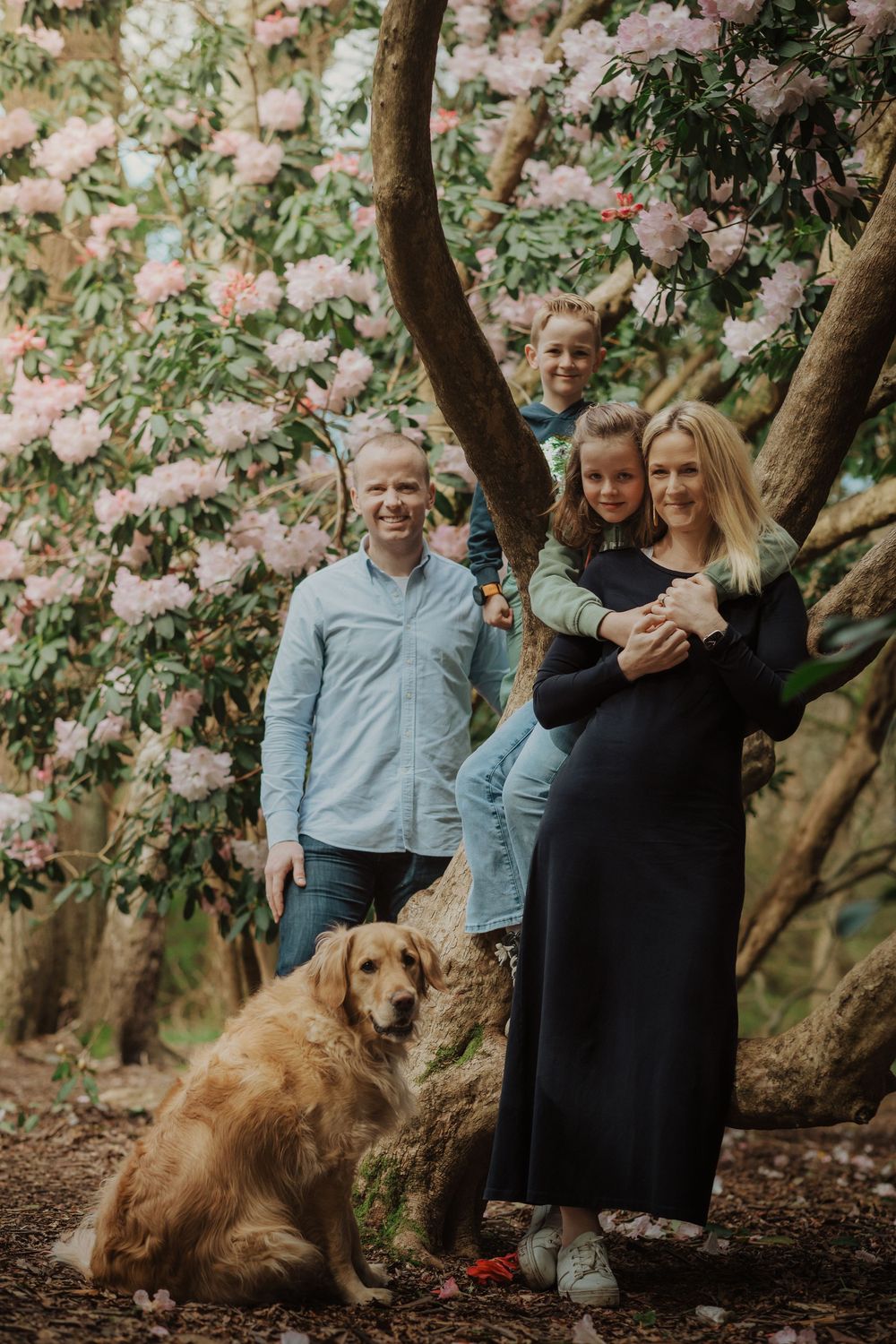 Family portrait under blooming pink rhododendron tree with golden retriever dog in woodland setting.