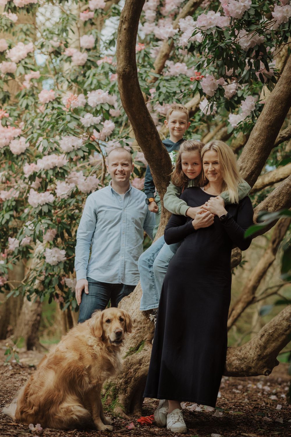 A family sitting together under a blooming tree with their golden retriever dog during a spring photo session.