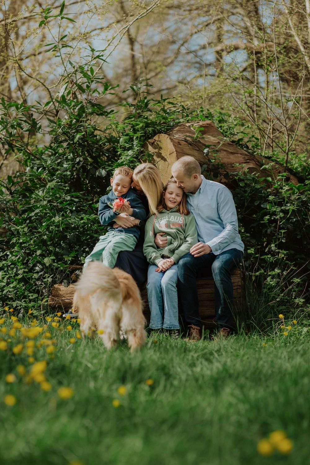 A group sits together on a rustic wooden bench in a garden with yellow wildflowers while their golden retriever explores nearby.