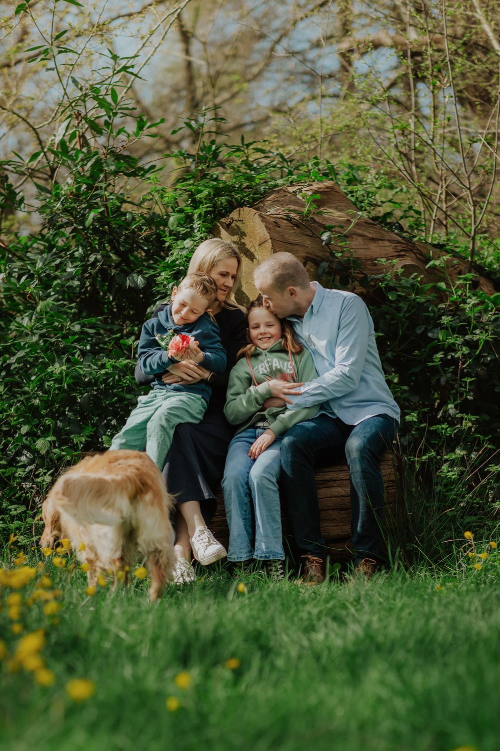A family relaxes on a wooden bench in a garden with their golden retriever while wildflowers bloom in the foreground.
