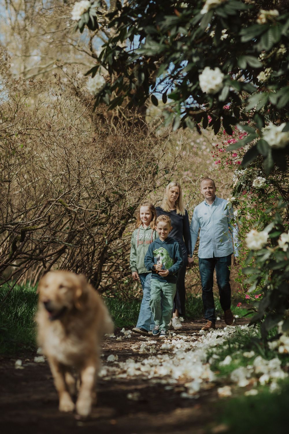 Family walking together with fluffy dog in a garden setting with sunlit foliage and blooming flowers.