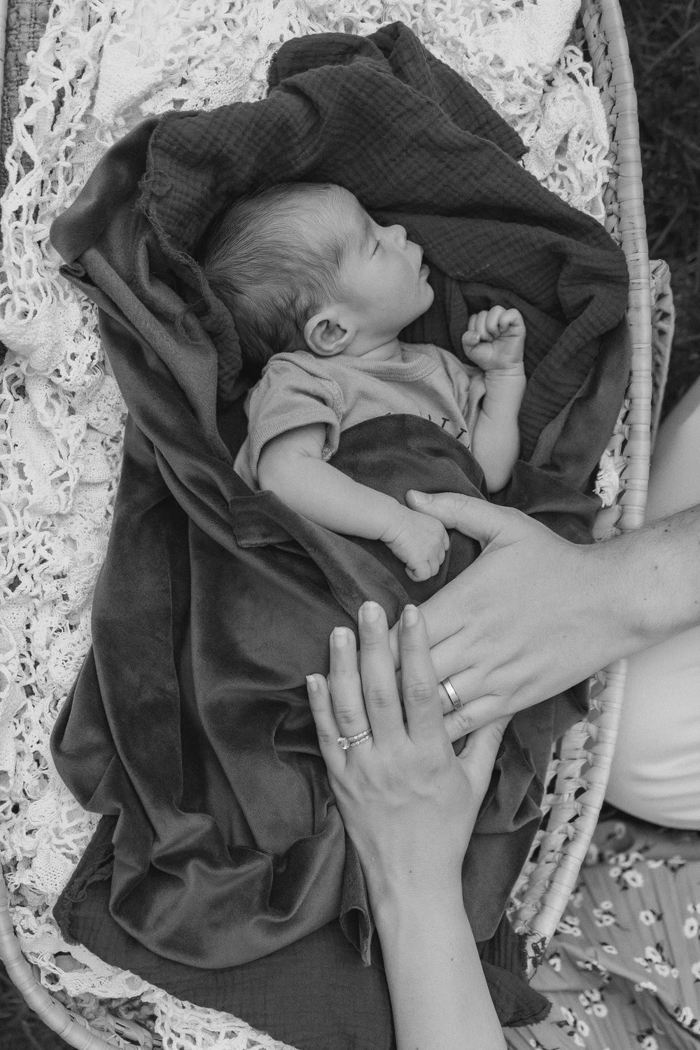 A baby sleeps peacefully in a moses basket.  Mother and fathers hands lay gently on baby