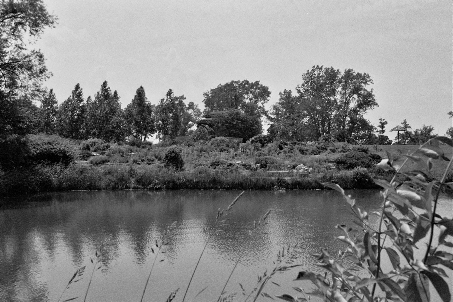 A black and white panoramic view of a serene lake surrounded by trees and vegetation. Cox Arboretum, Miamisburg Ohio.