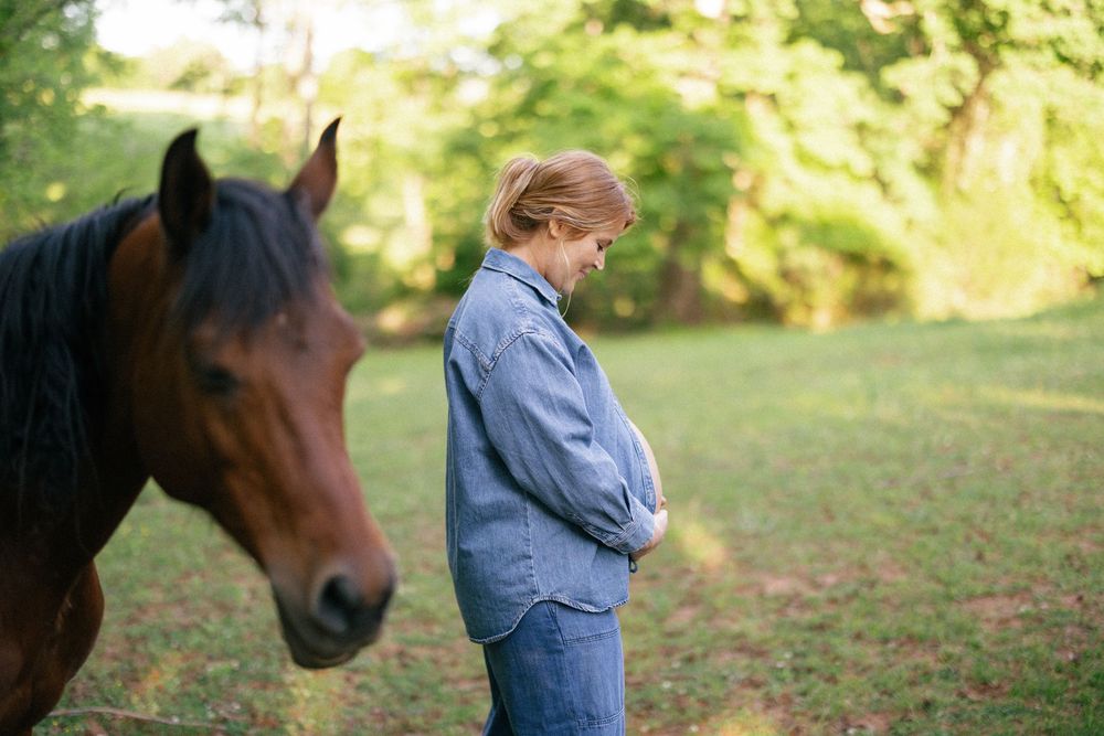 Five connected images showing a person in denim interacting with a brown horse in a sunlit outdoor setting.