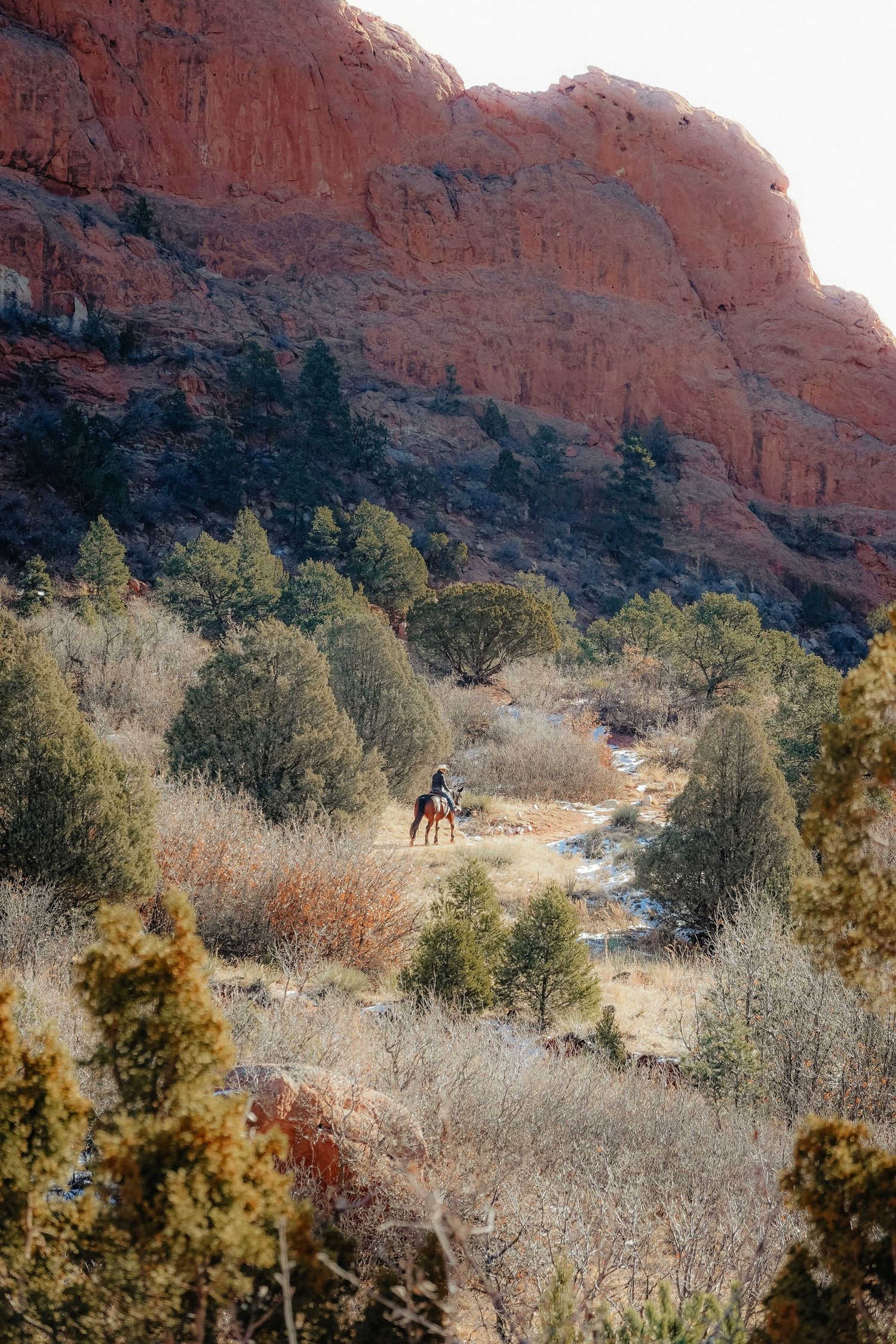 photo of cowboy in Colorado