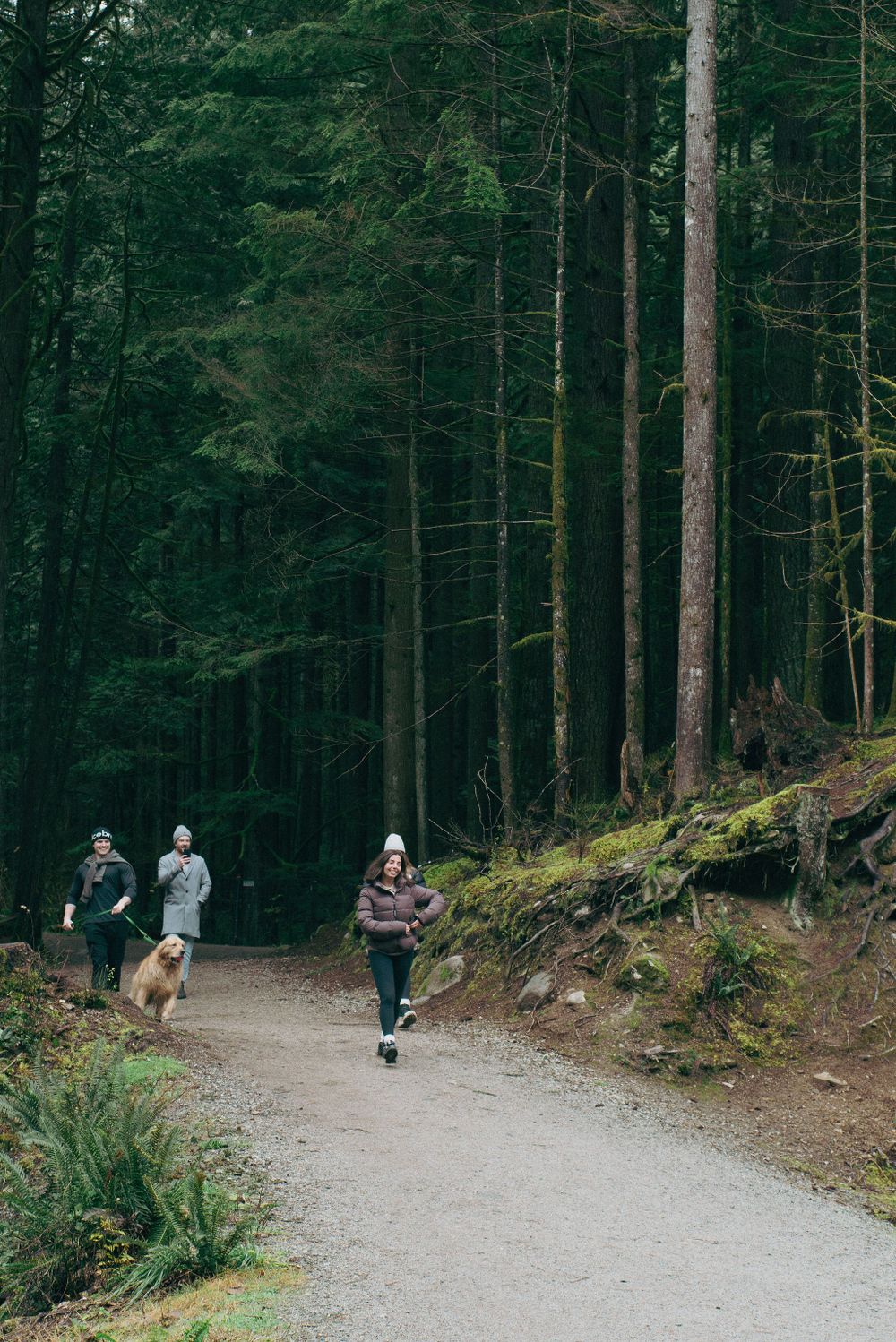 Hikers walk along a winding gravel path through a peaceful evergreen forest.