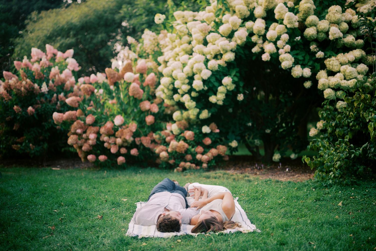 A couple relaxes on a blanket on green grass beneath flowering pink and white hydrangea bushes.