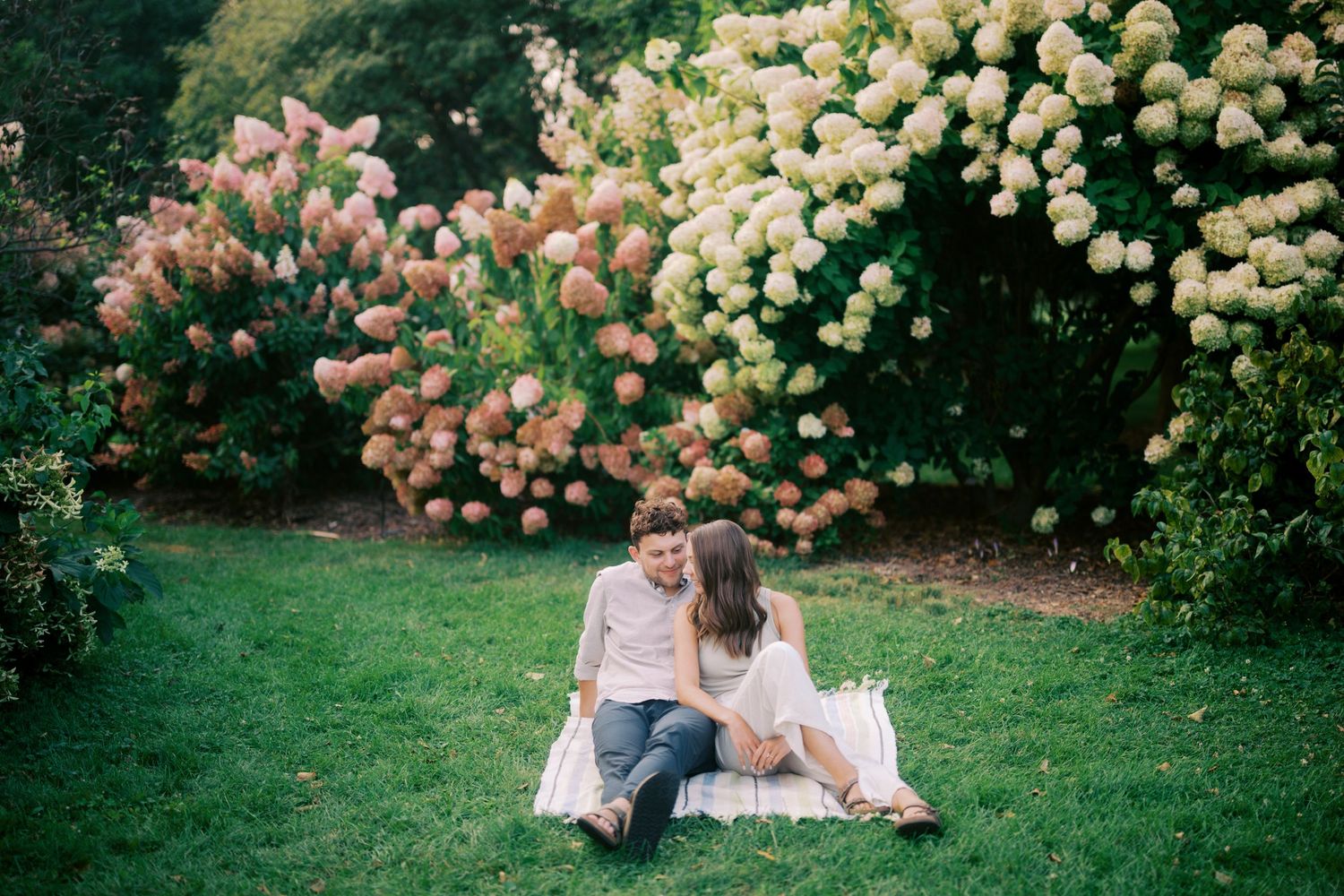 A romantic picnic scene on a lush green lawn surrounded by blooming hydrangea bushes with pink and white flowers.