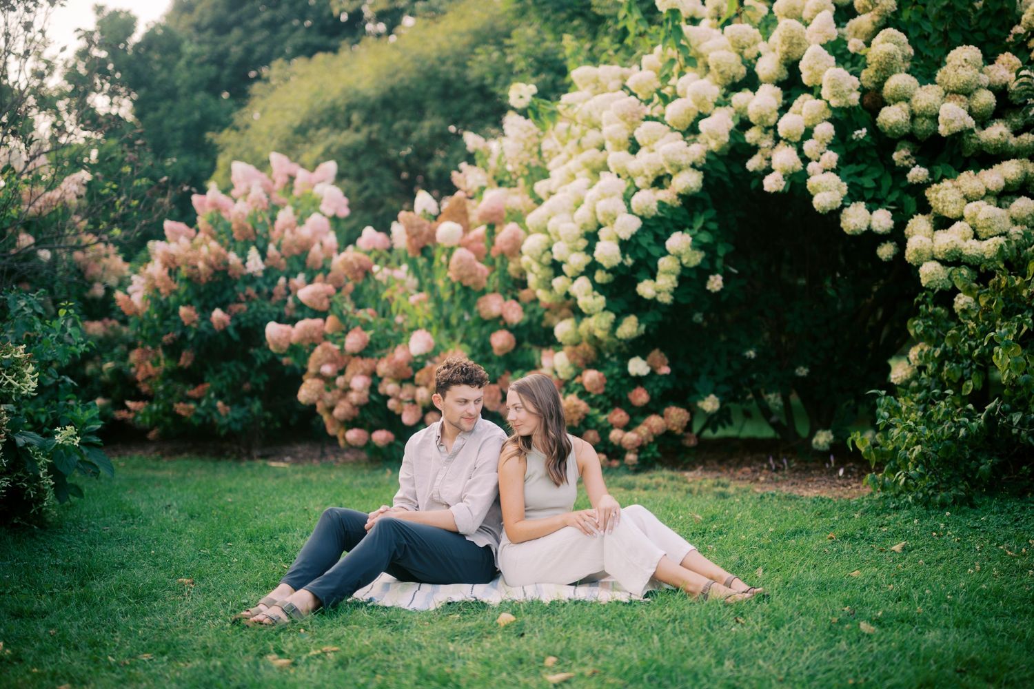 A couple relaxes on grass beneath blooming pink hydrangea bushes in a lush garden setting during summer.