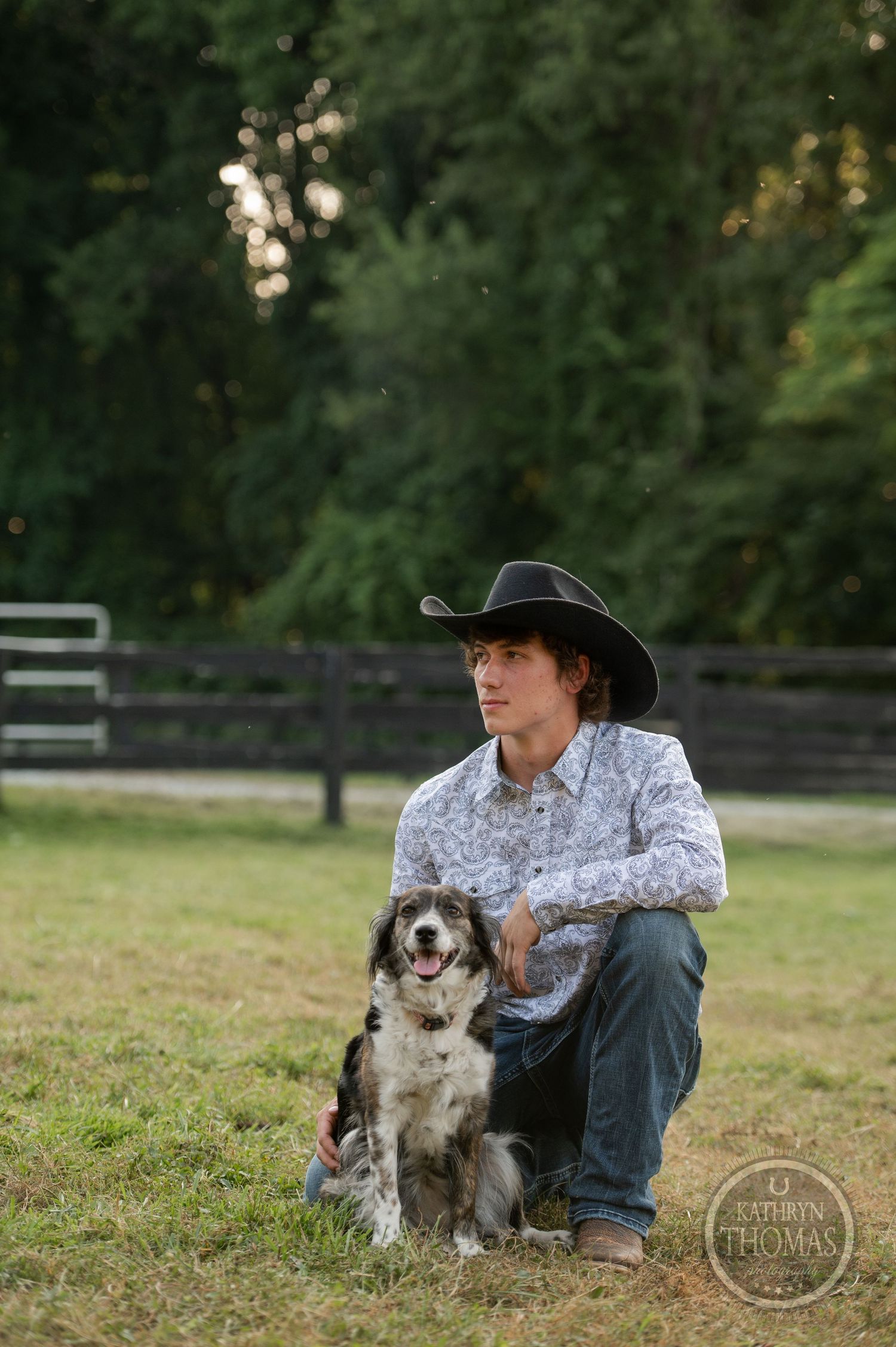 Border Collie dog sitting attentively in grassy field with wooden fence in background.
