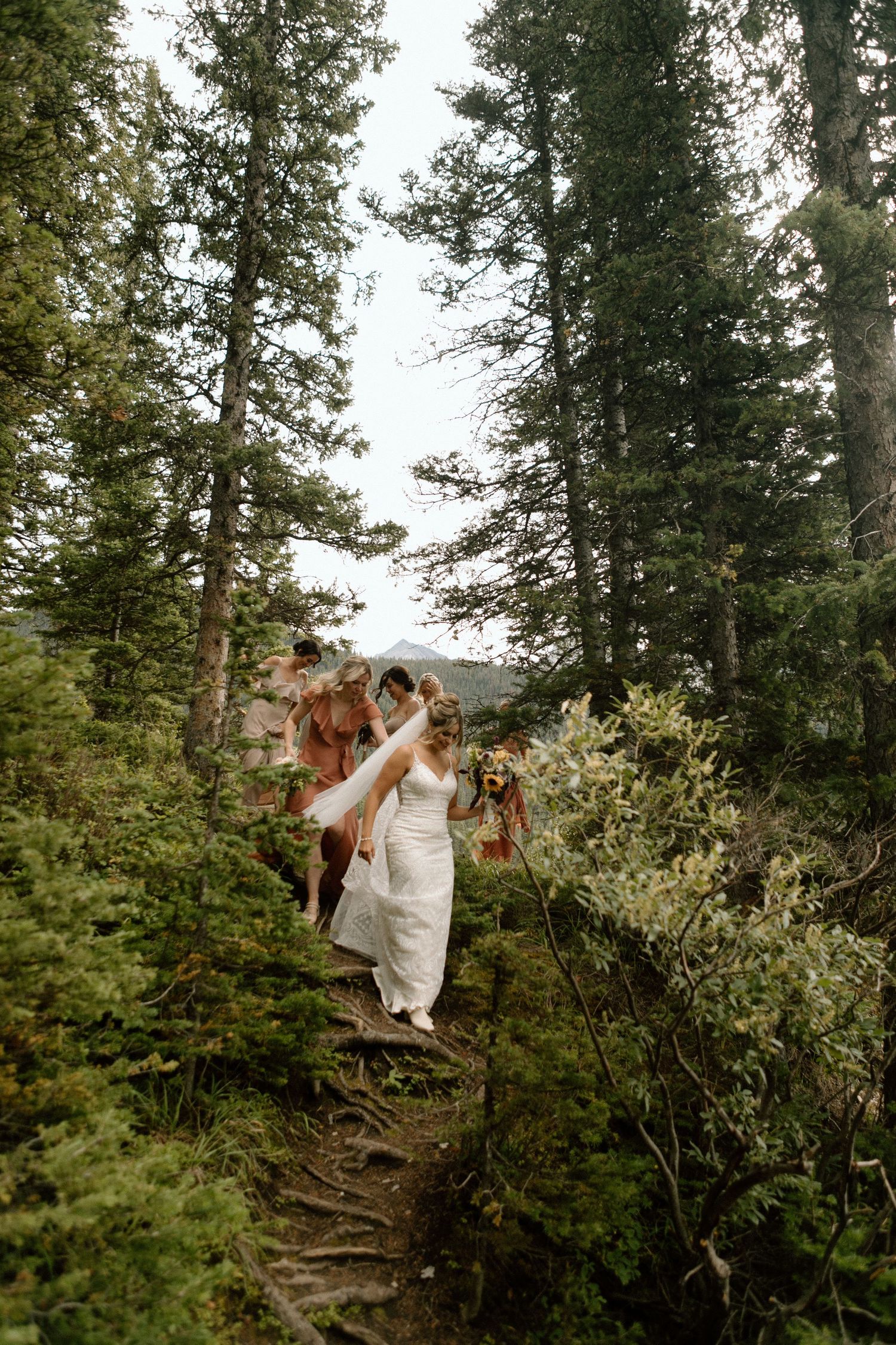 A couple walking hand in hand along a forest trail surrounded by evergreen trees.