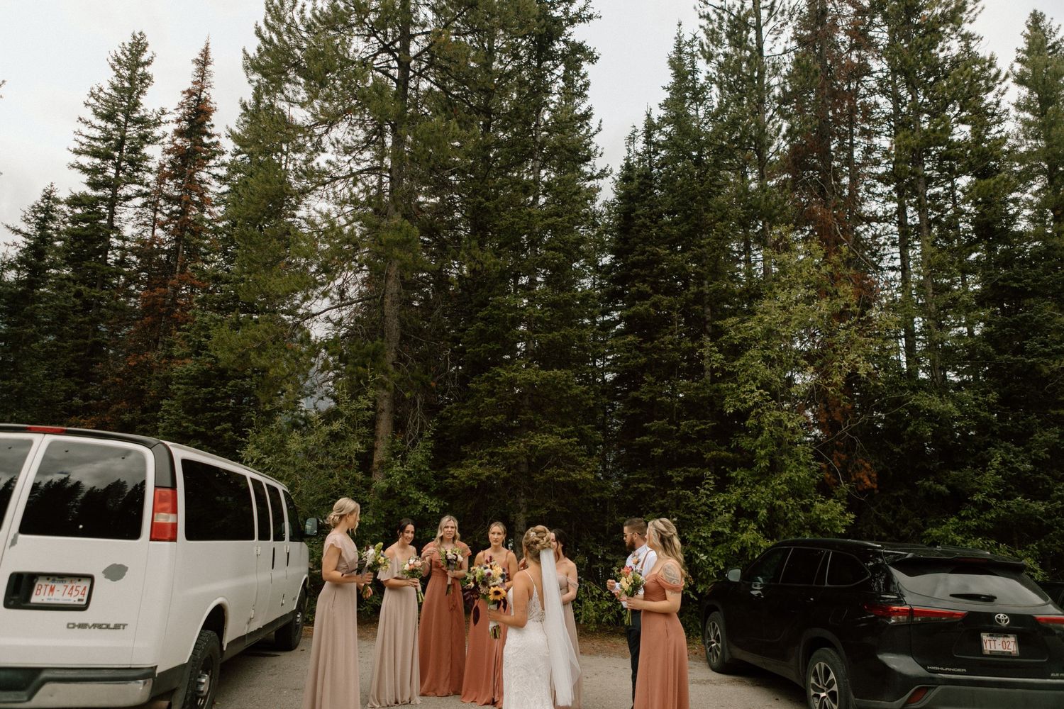 Wedding party gathers between vehicles in mountain forest setting with evergreen trees.