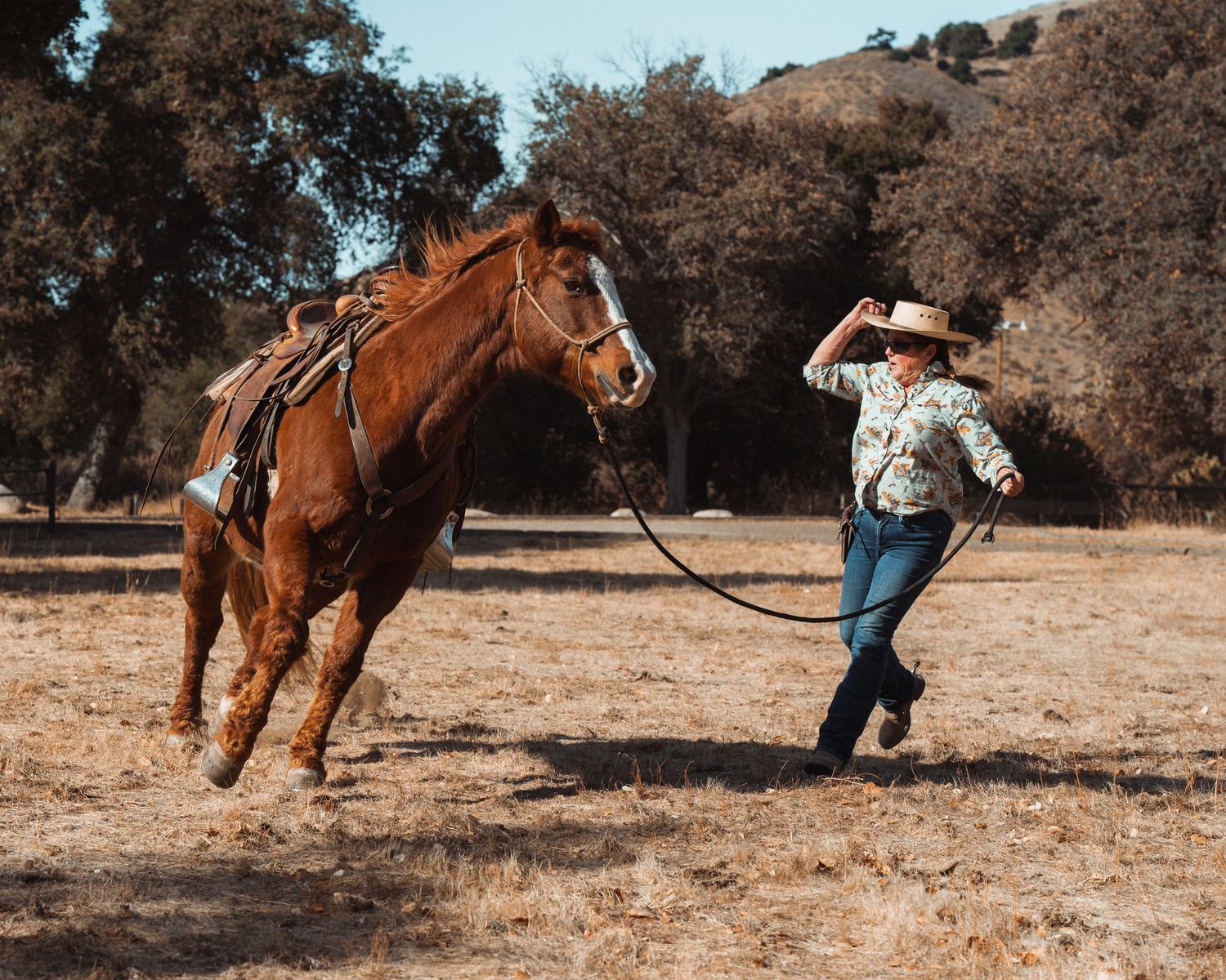 A sequence of photos showing a horse rolling and playing in dusty ground while someone watches nearby.
