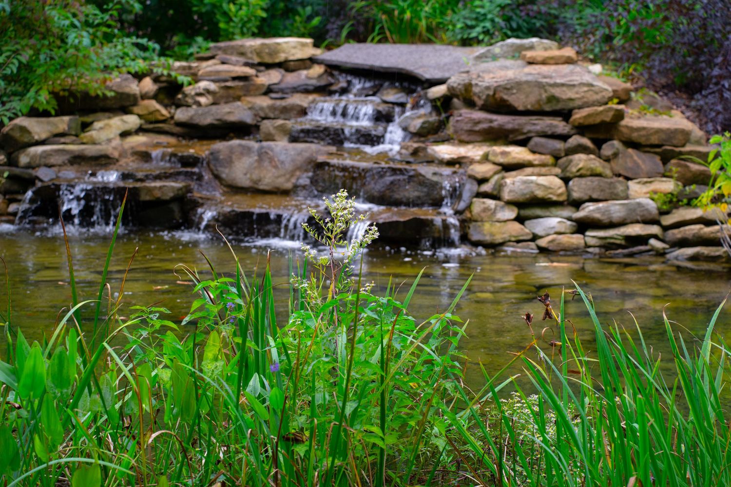 Natural stone waterfall flowing into a tranquil pond surrounded by green vegetation.