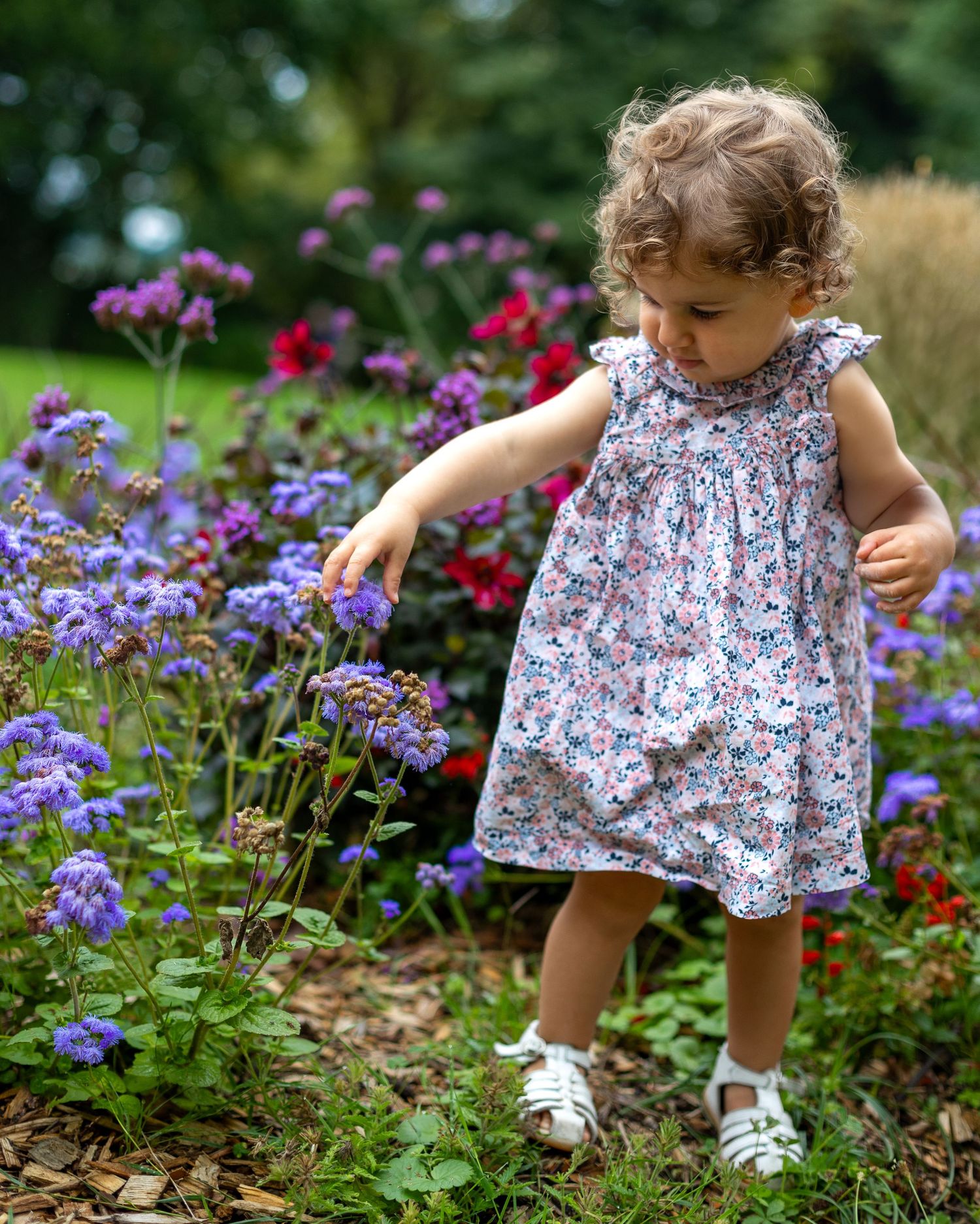 enfant en robe fleurie dans un jardin fleuri lors d’une séance photo en famille dans les Yvelines