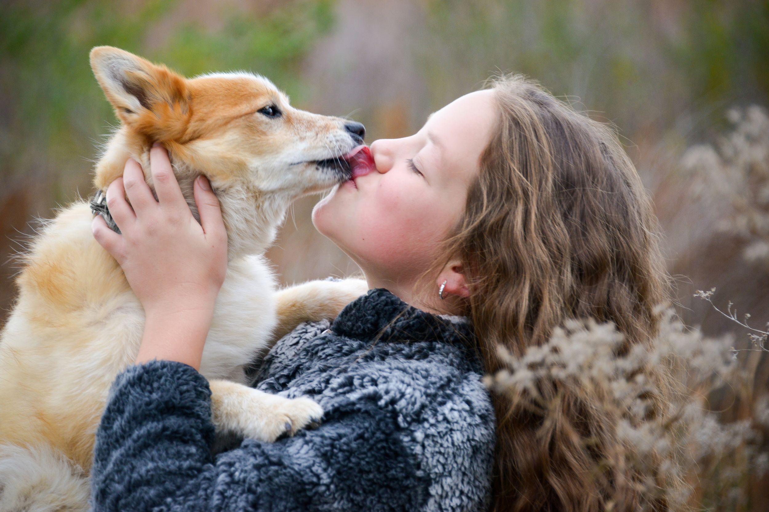 Young girl with curly hair kissing an adorable Corgi puppy outdoors in a natural setting.
