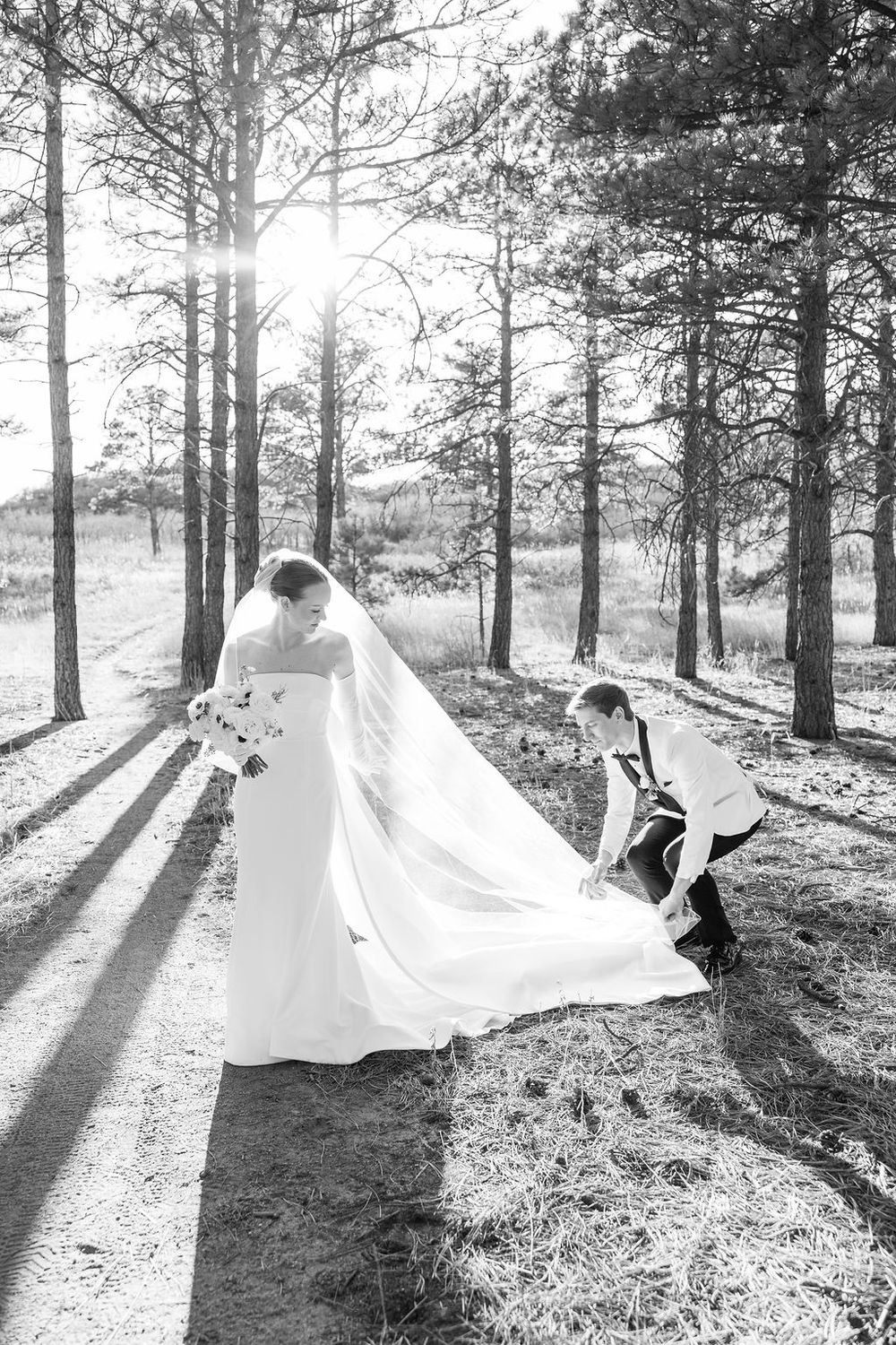 Black and white photo of groom arranging bride's cathedral veil in sunlit pine forest.