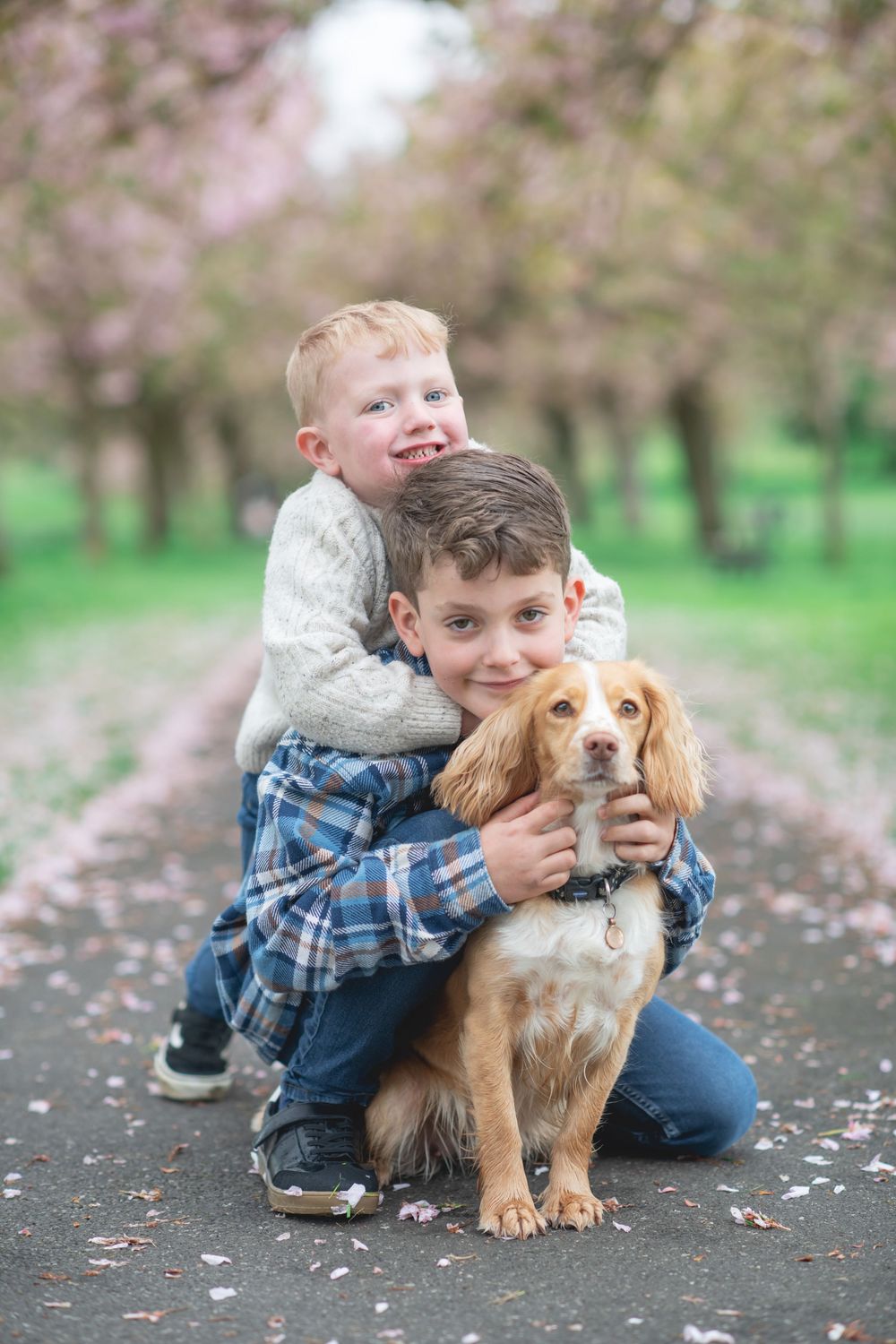 Young child in plaid shirt hugging a cocker spaniel puppy under blooming cherry trees on a spring day.