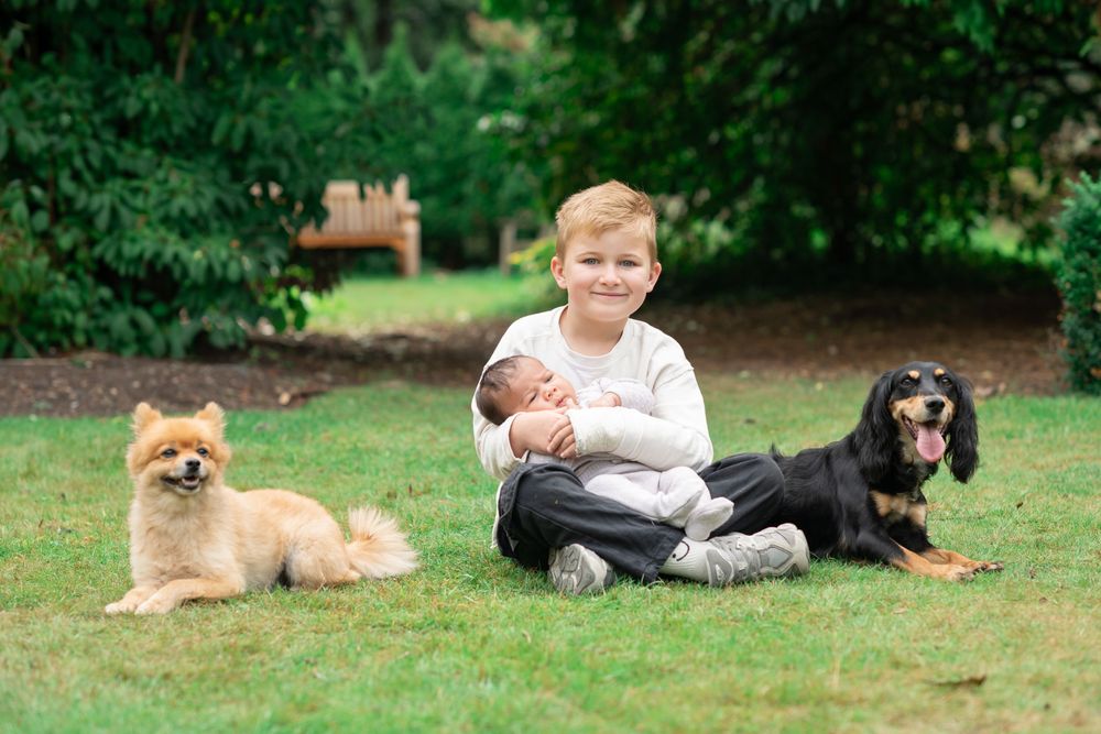 A young child sits on the grass with his baby sibling and two dogs at Golden Acre Park, West Yorkshire.