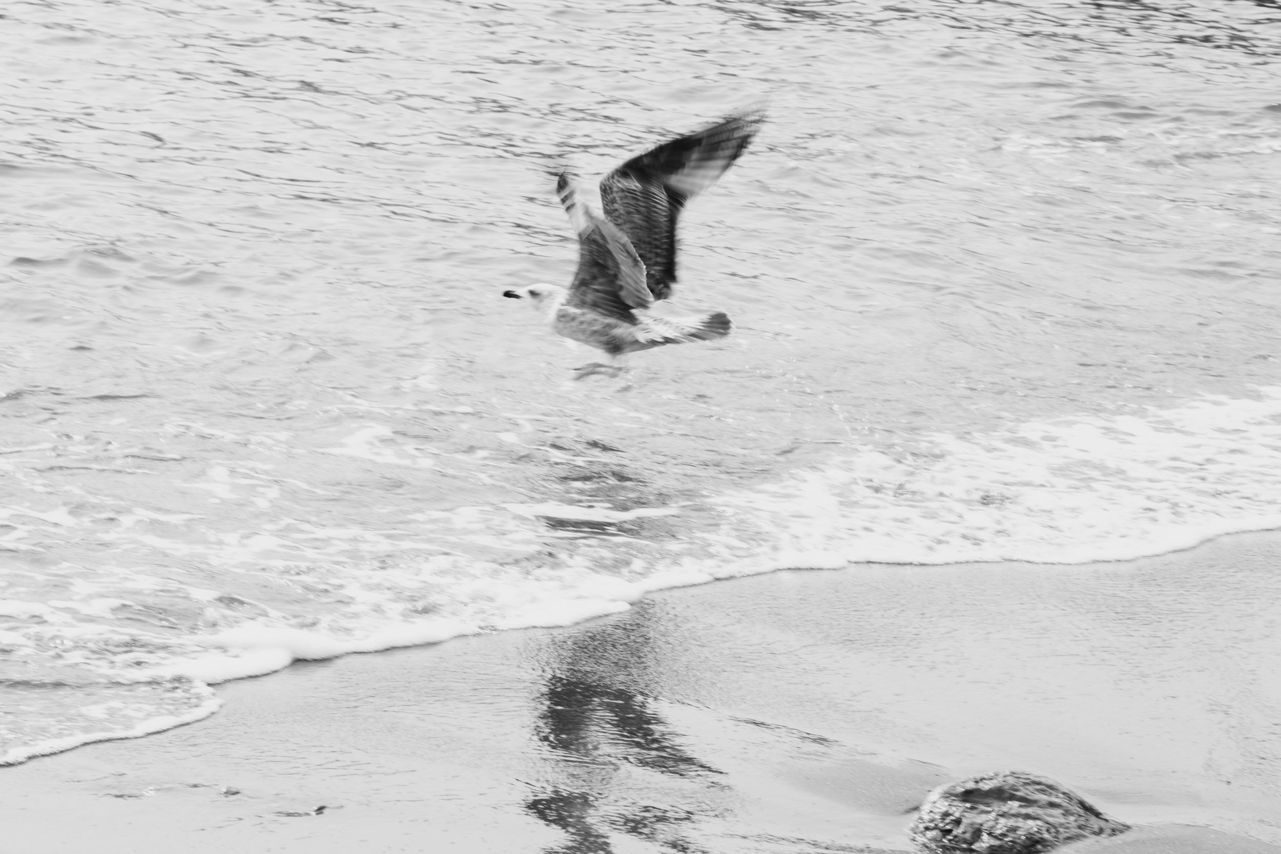 A surfer rides a wave while performing a sharp turn, creating a spray of water behind them.