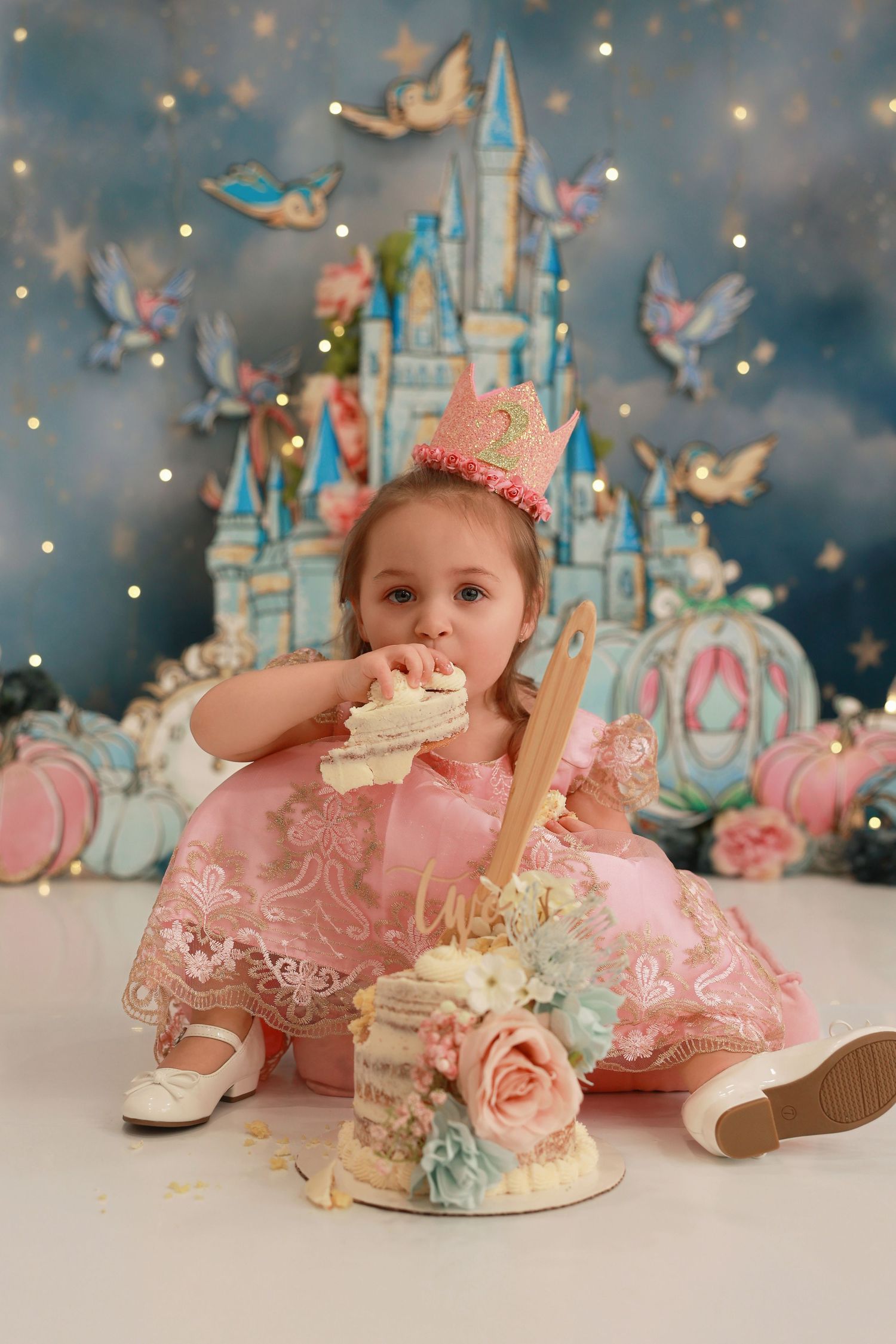 A pink and blue themed cake smash photo session setup with castle backdrop, butterflies, and vintage decor elements.
