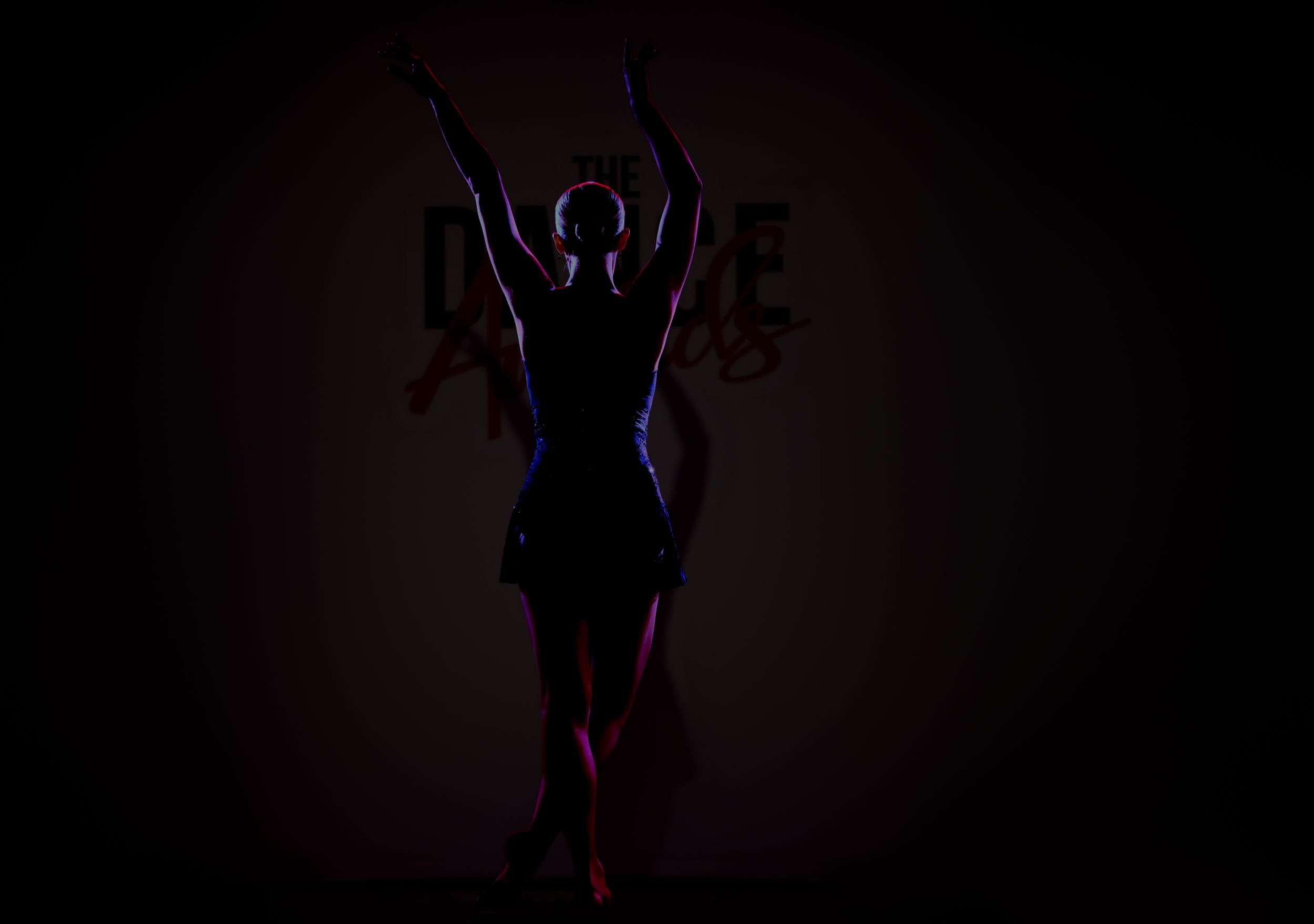 Silhouetted dancer poses with arms raised against dramatic dark stage lighting at dance event.