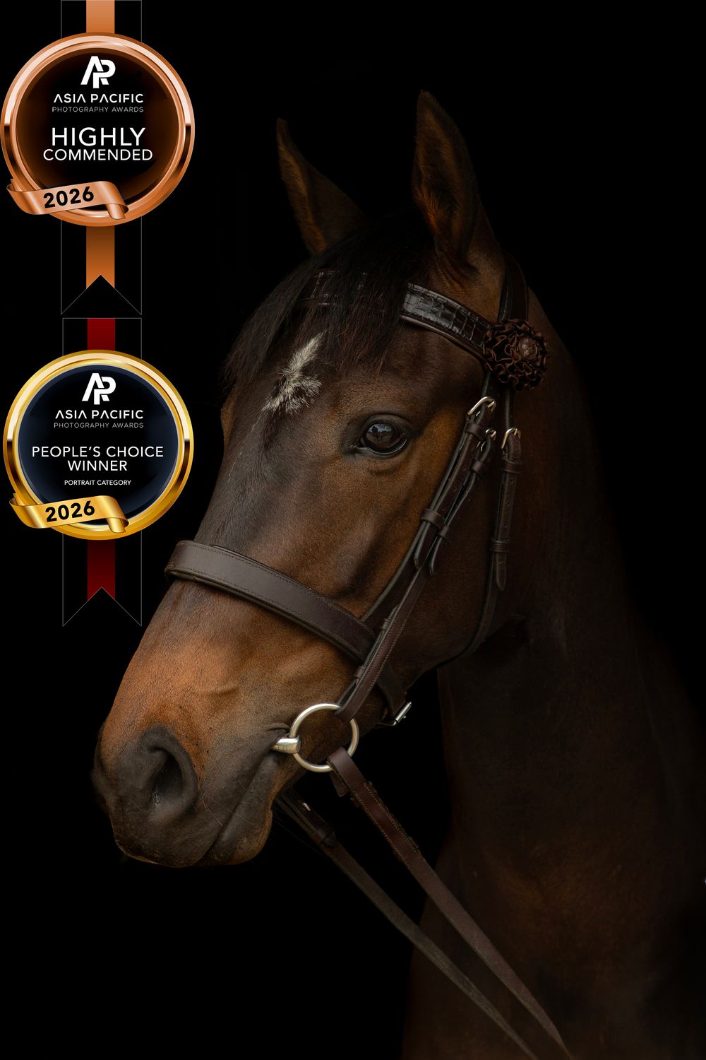 Highly commended & peoples choice award