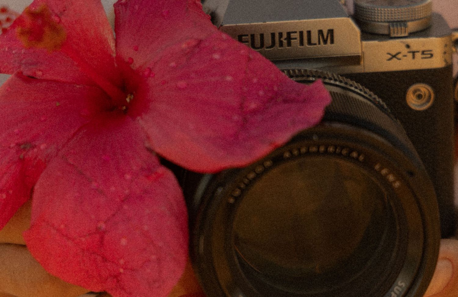 Pink hibiscus flower beside a Fujifilm camera, representing photography and creative work in Hawaii.