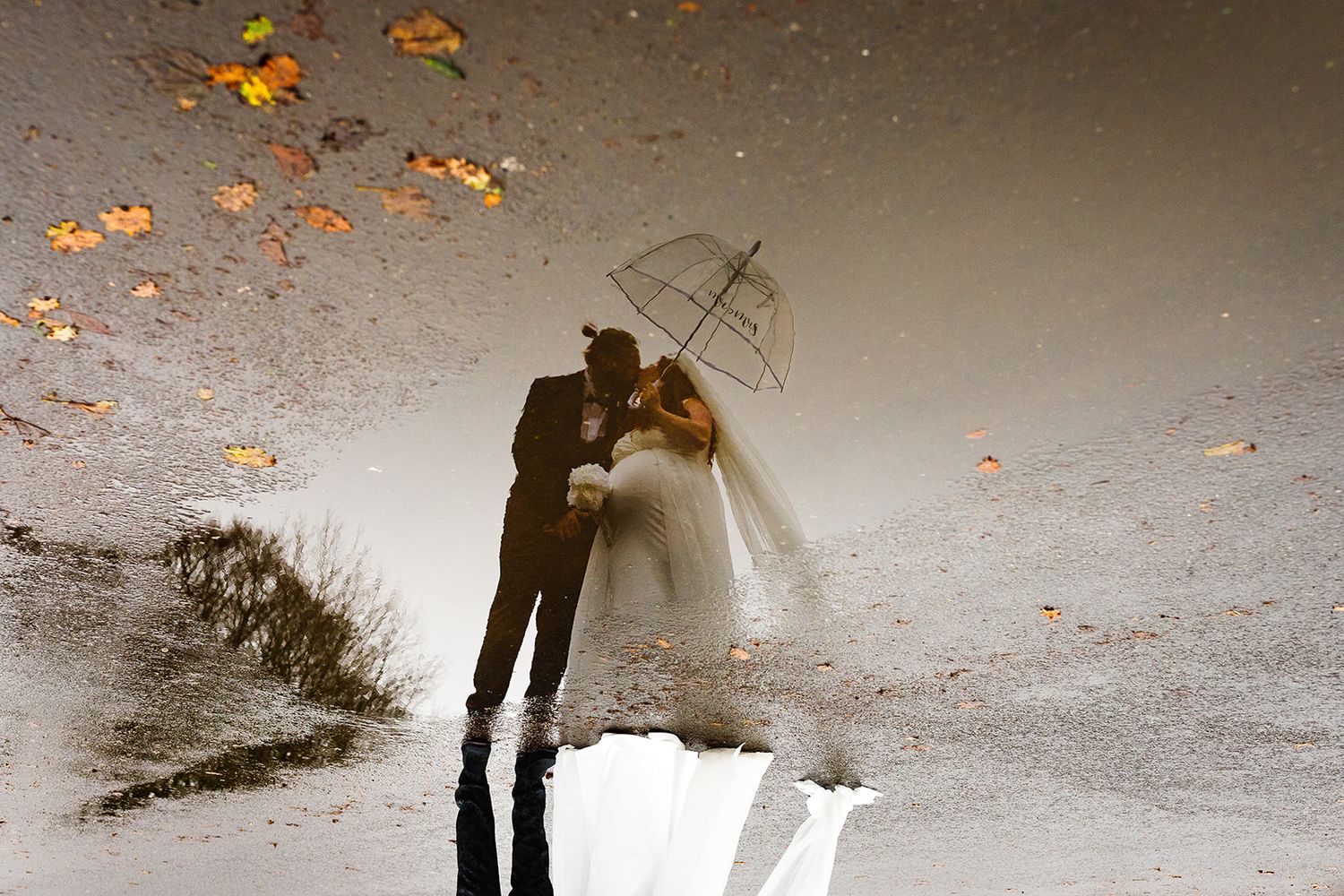 A wedding couple walking down a path in a lush, wooded garden at Towneley Hall on an overcast day.