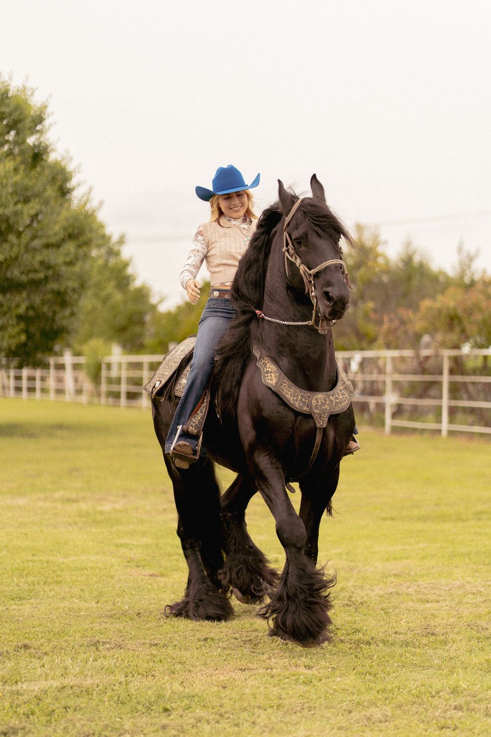 Majestic black horse with flowing mane galloping in a fenced pasture.