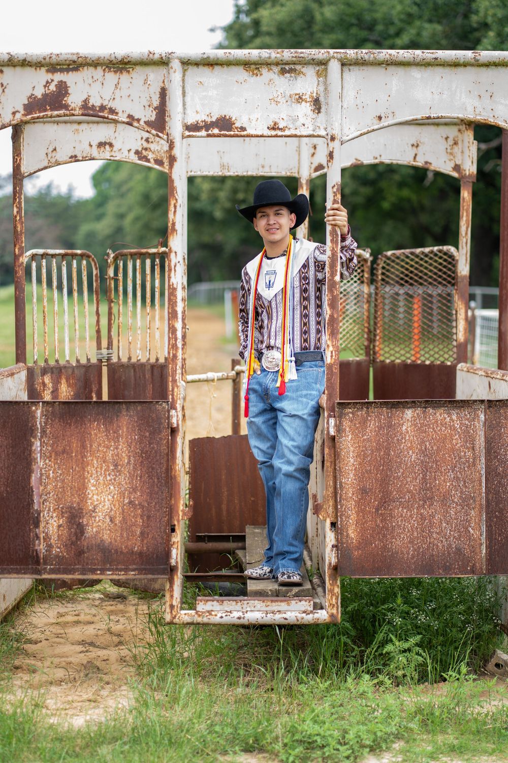 Rustic metal horse stalls with weathered paint and green grass visible in the background.