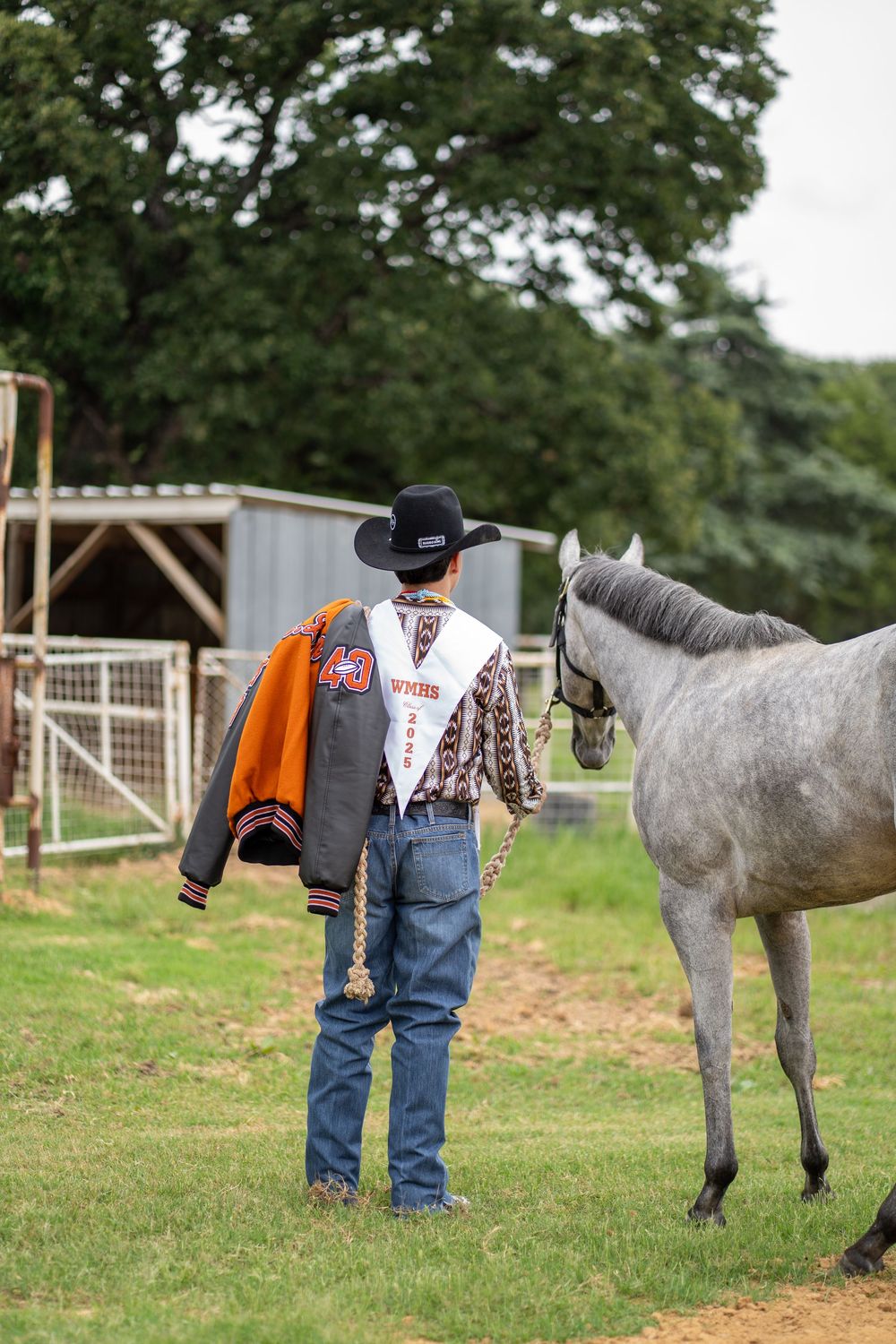 Gray horse standing in a grassy field next to western-style riding gear and clothing.