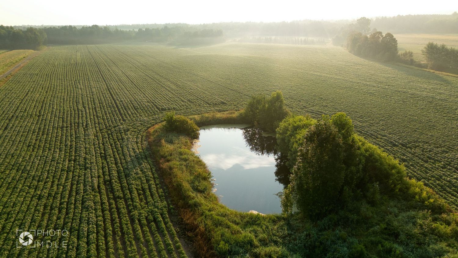 Photo aérienne dans un champ