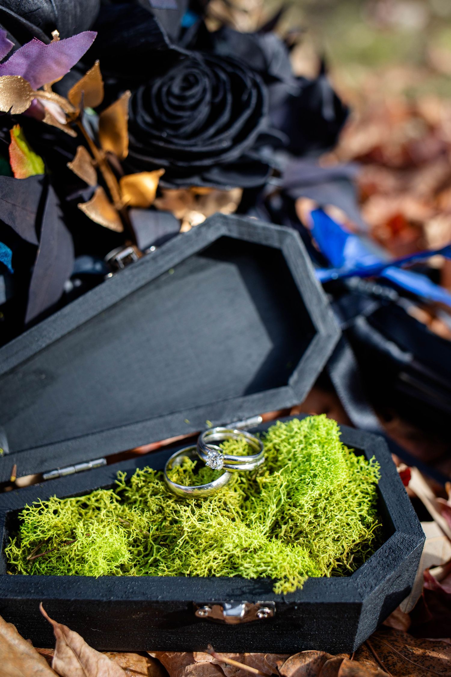 Green reindeer moss grows along a black surface creating a striking contrast against dark autumn leaves.