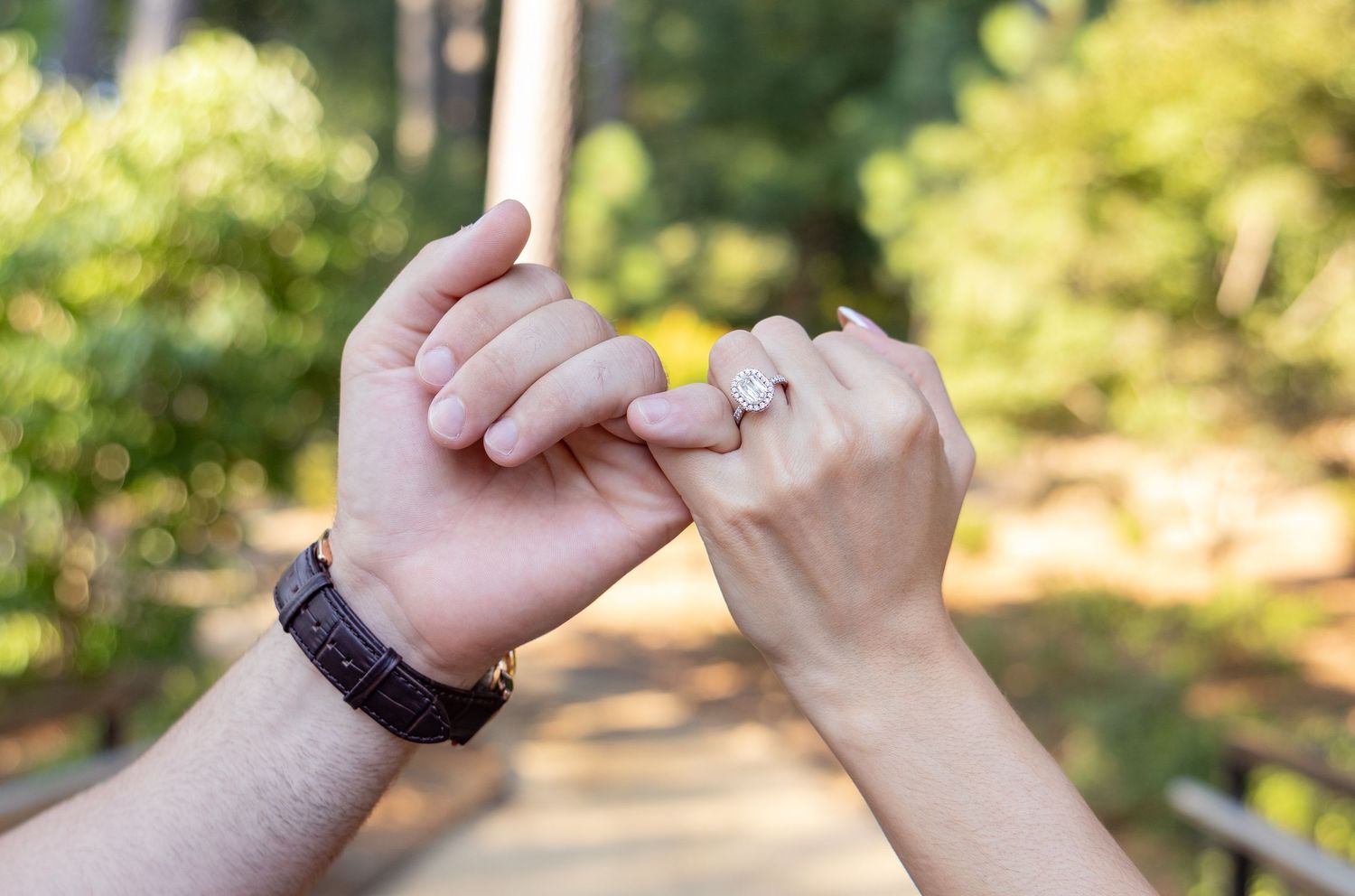 Multiple hands joining together in unity against a blurred outdoor background.