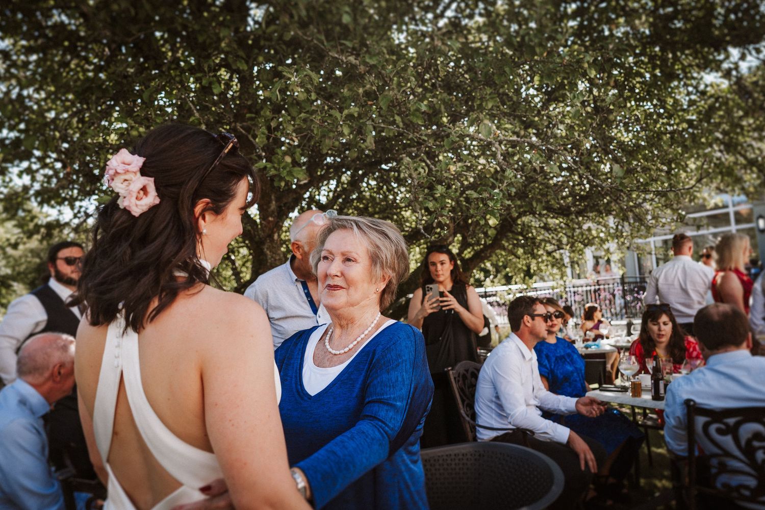 A series of candid photos from an outdoor wedding reception showing people chatting and mingling under trees.