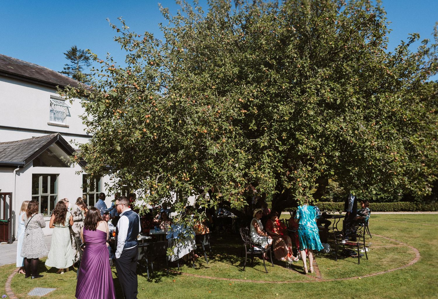 A wedding celebration takes place in a scenic apple orchard with guests gathering under fruit-laden trees.