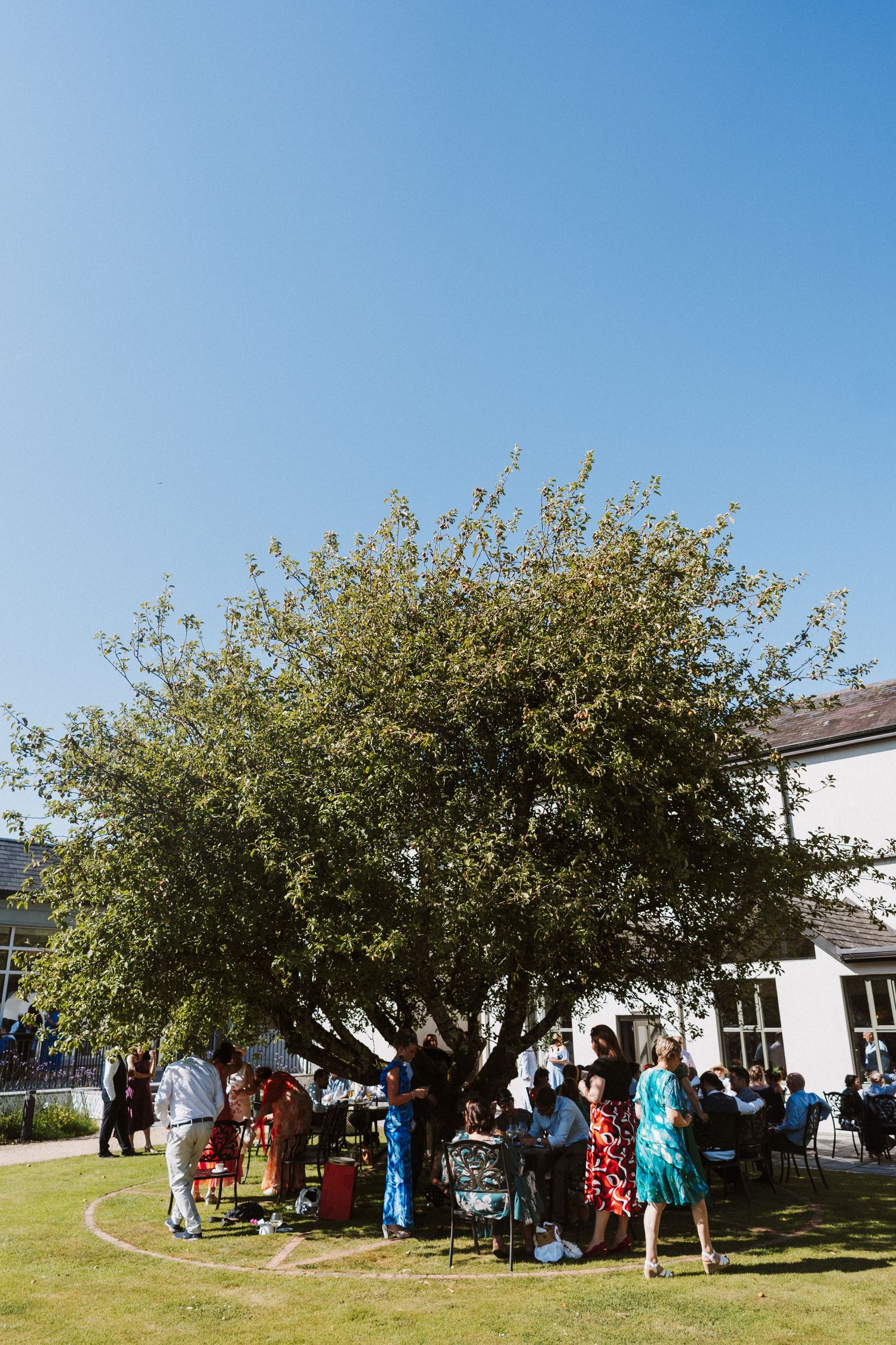 People gather outdoors around a blooming tree on a sunny day during a social event at a white building.